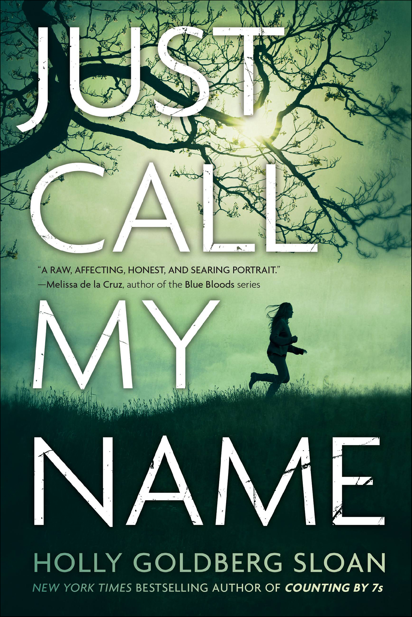 This image is the cover for the book Just Call My Name