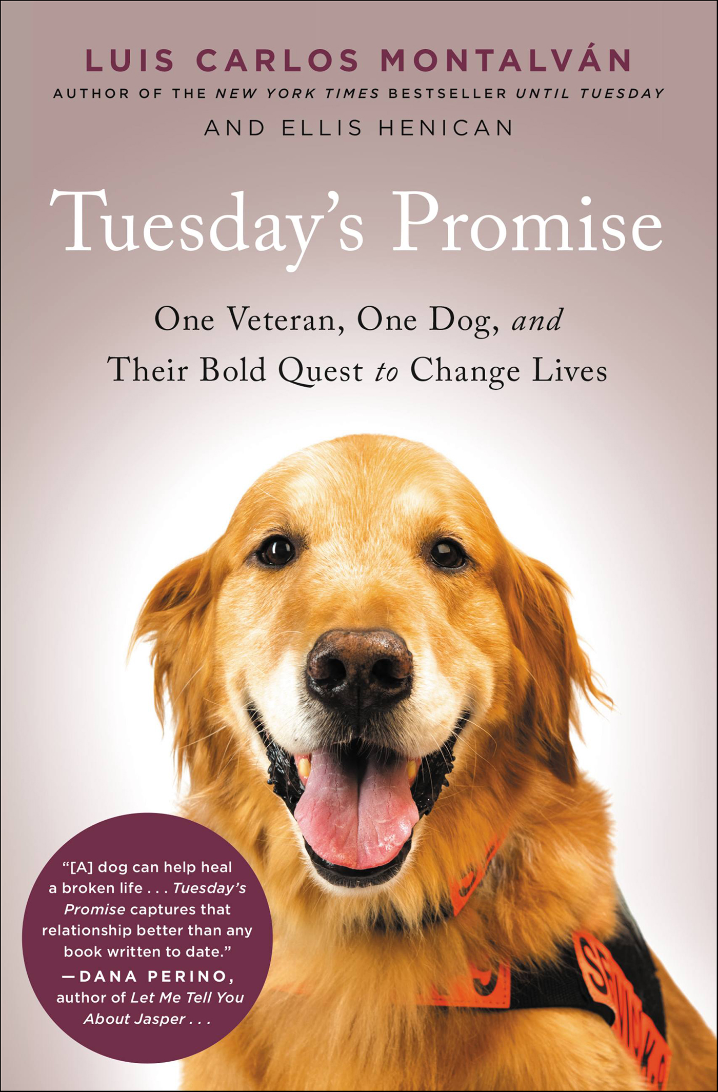 This image is the cover for the book Tuesday's Promise