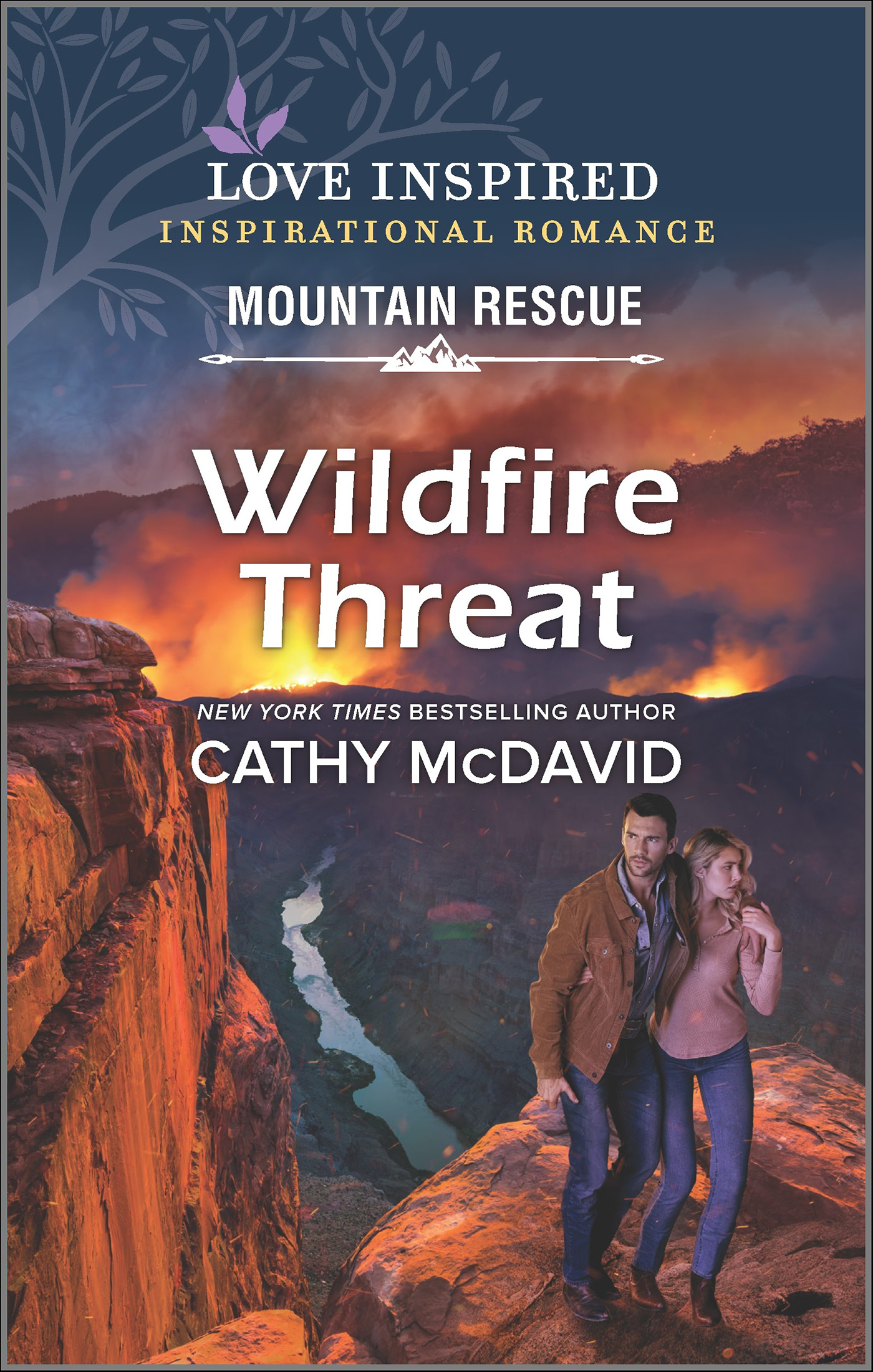 This image is the cover for the book Wildfire Threat, Mountain Rescue