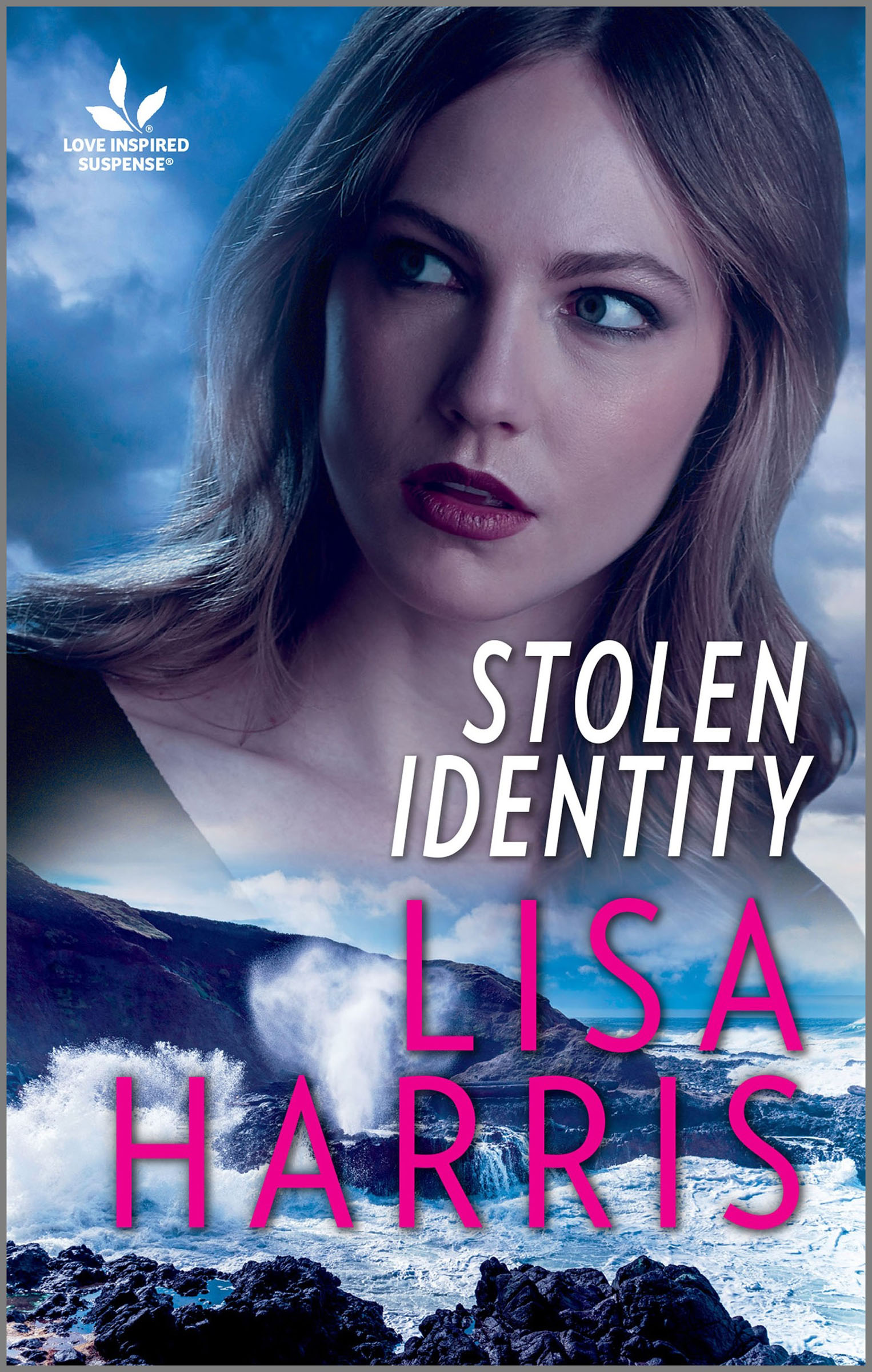 This image is the cover for the book Stolen Identity