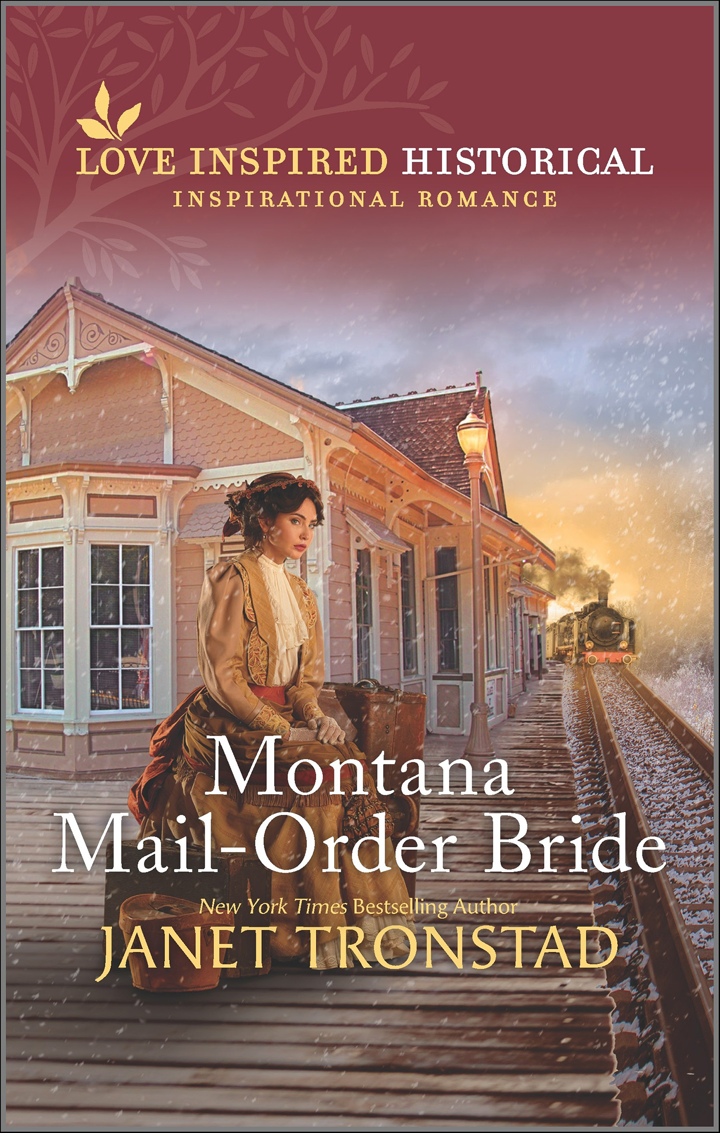 This image is the cover for the book Montana Mail-Order Bride