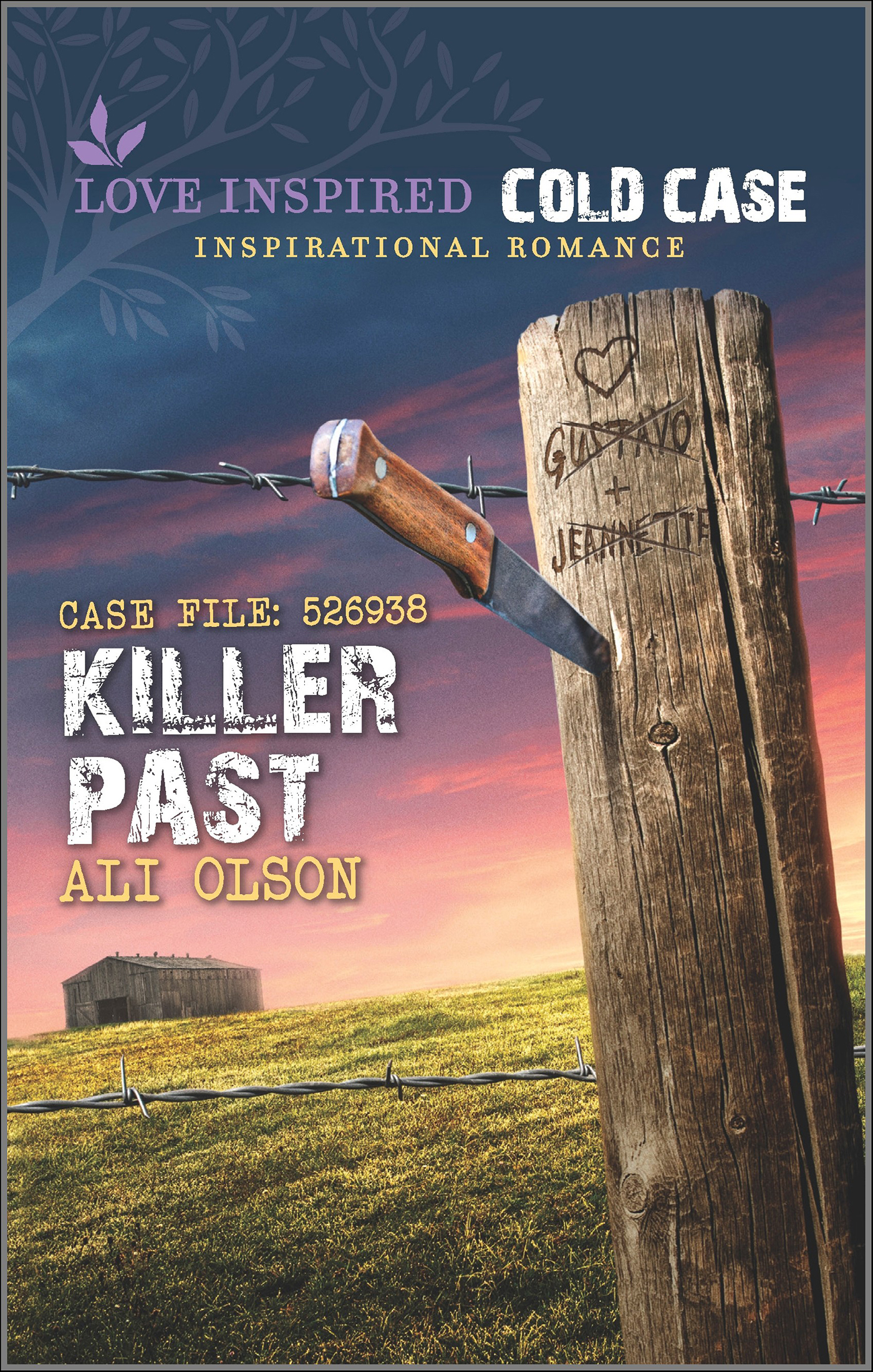 This image is the cover for the book Killer Past