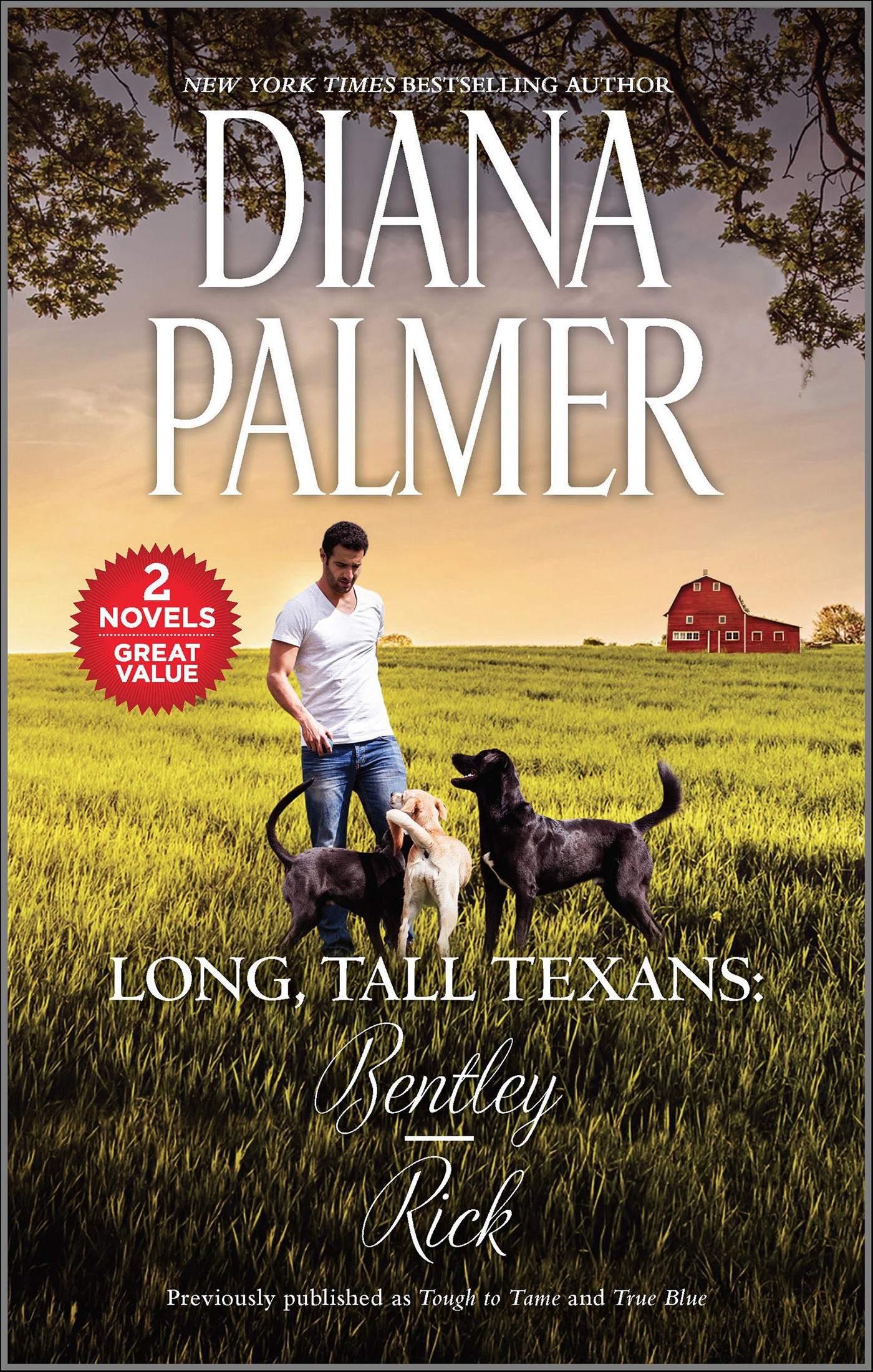 This image is the cover for the book Long, Tall Texans: Bentley & Rick, Long, Tall Texans