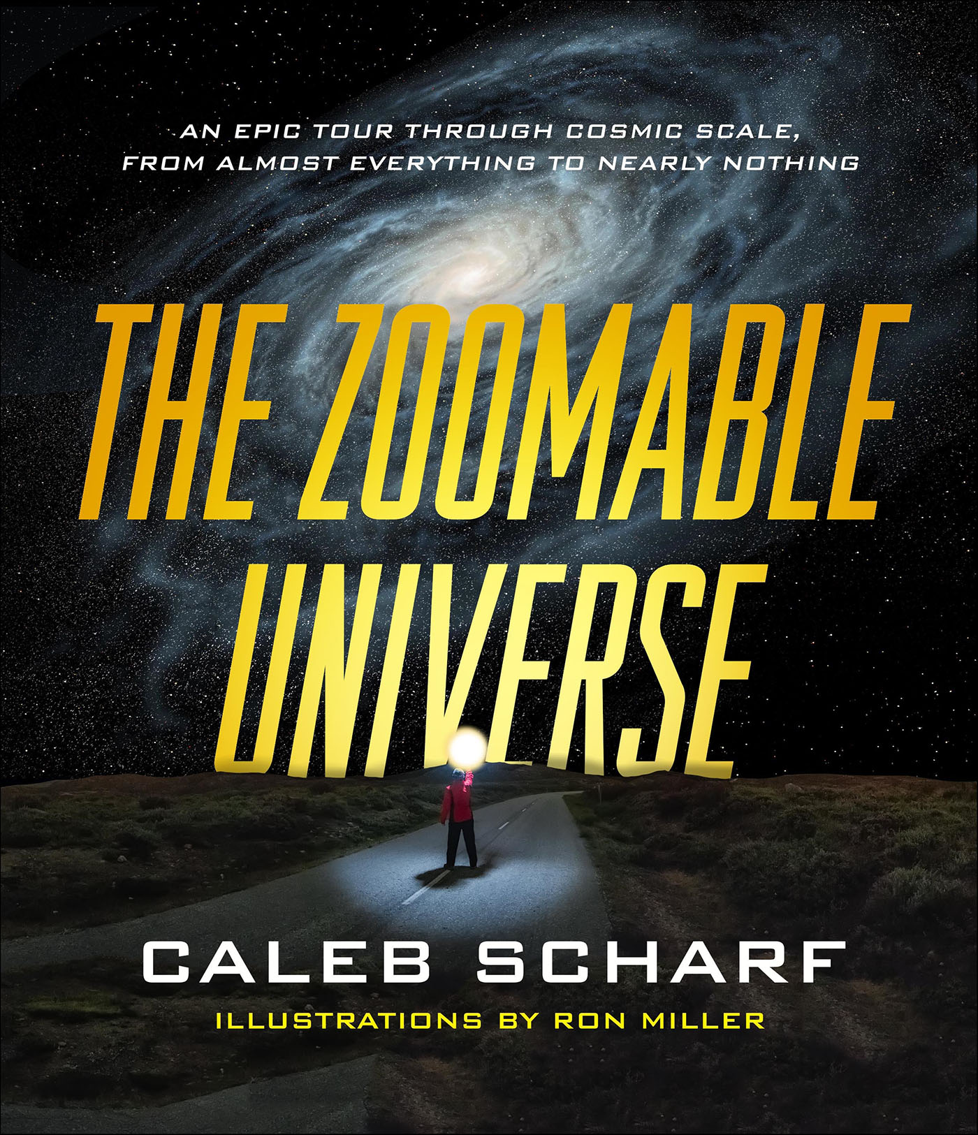 This image is the cover for the book Zoomable Universe