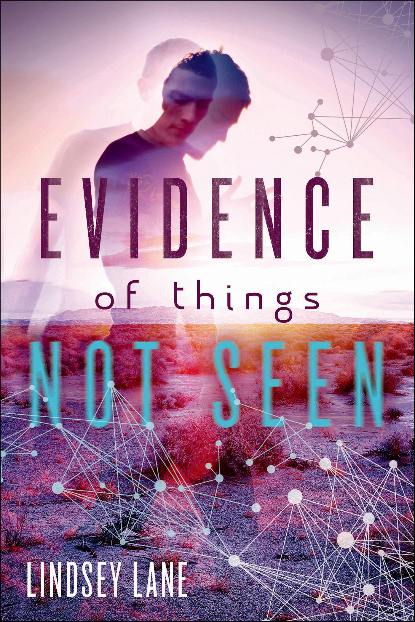 This image is the cover for the book Evidence of Things Not Seen