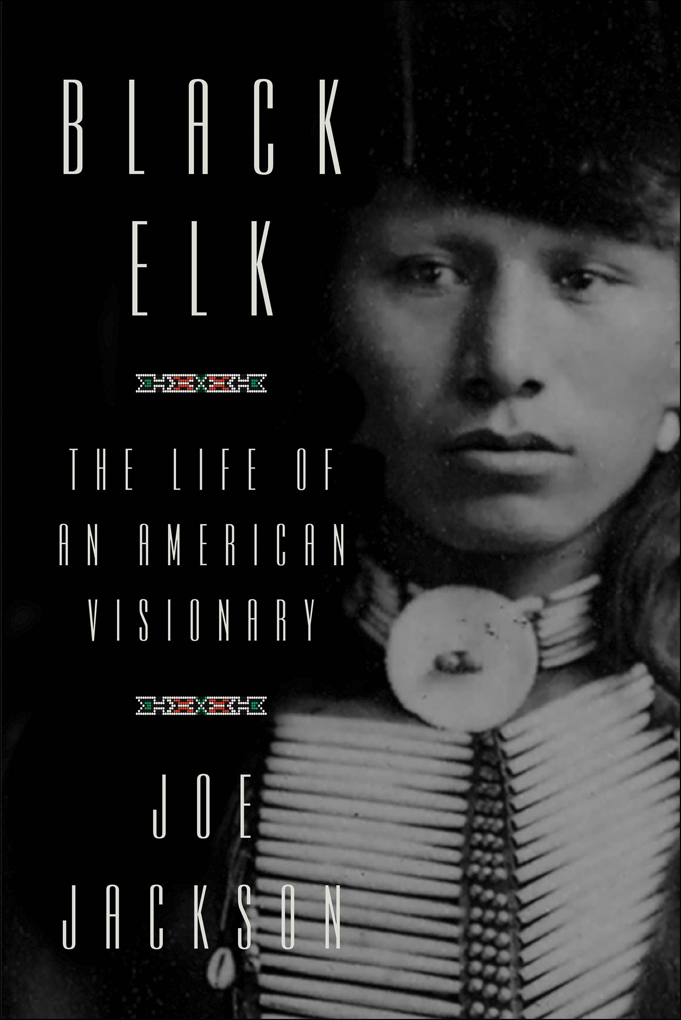 This image is the cover for the book Black Elk