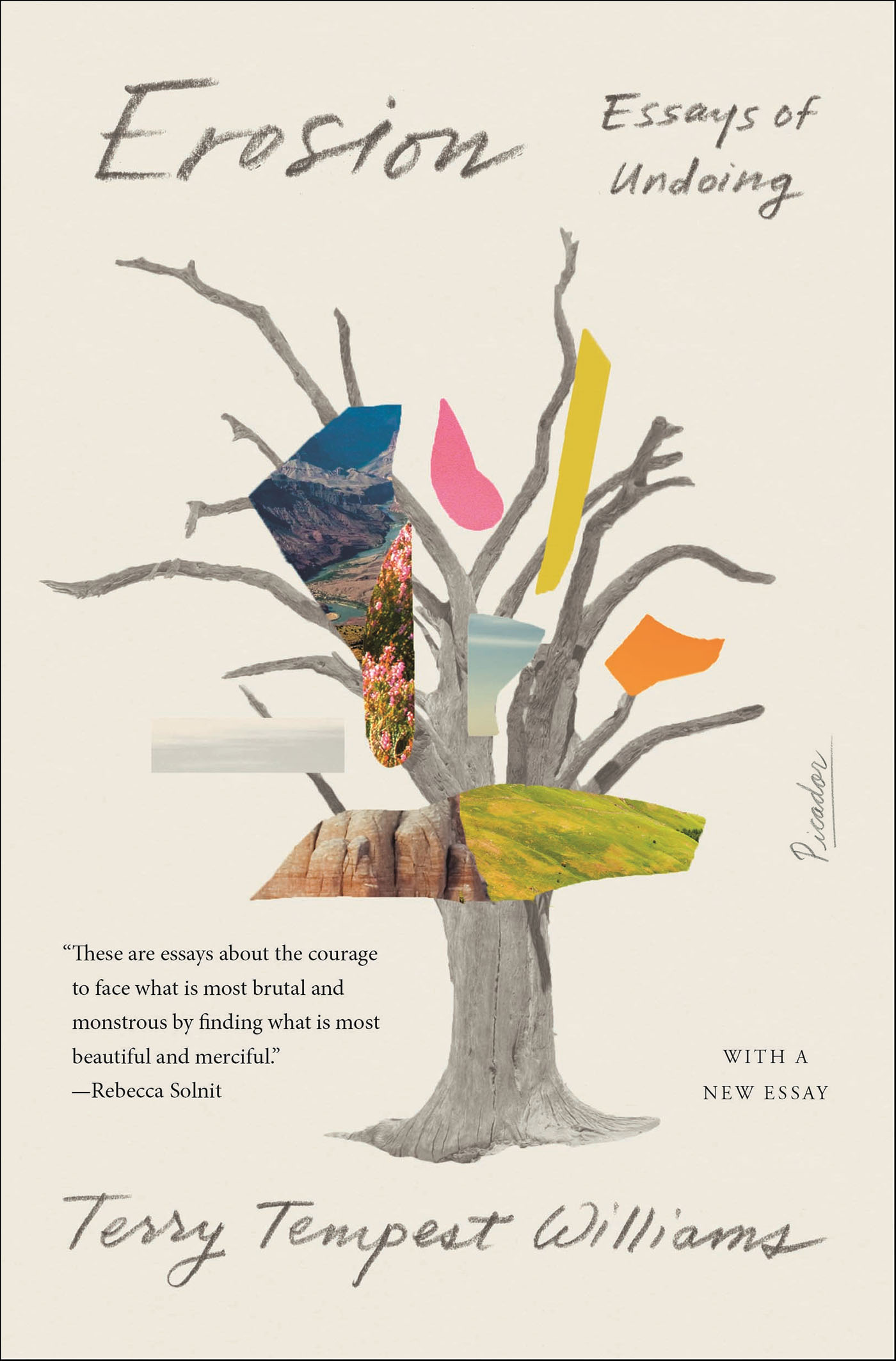 This image is the cover for the book Erosion
