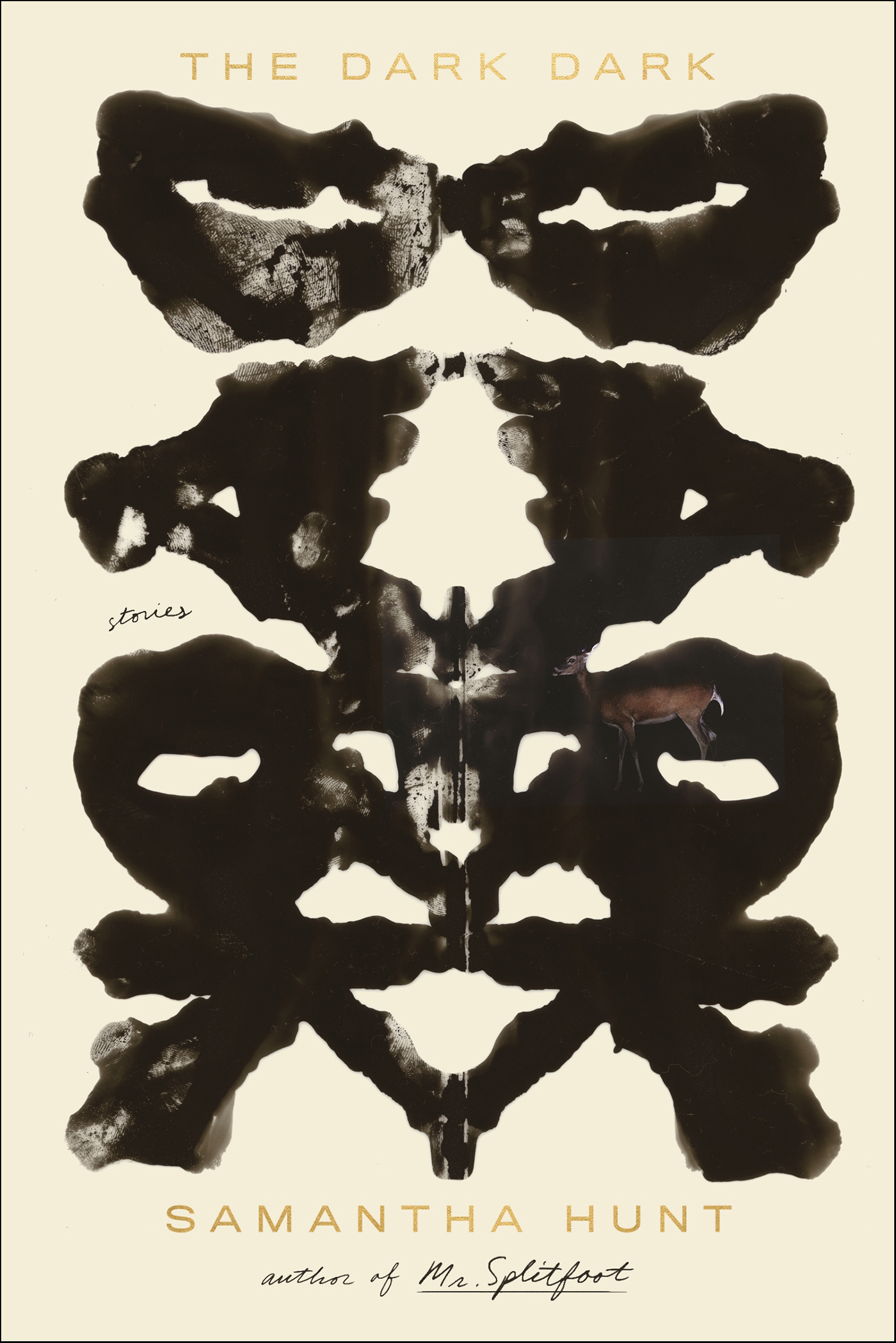 This image is the cover for the book Dark Dark