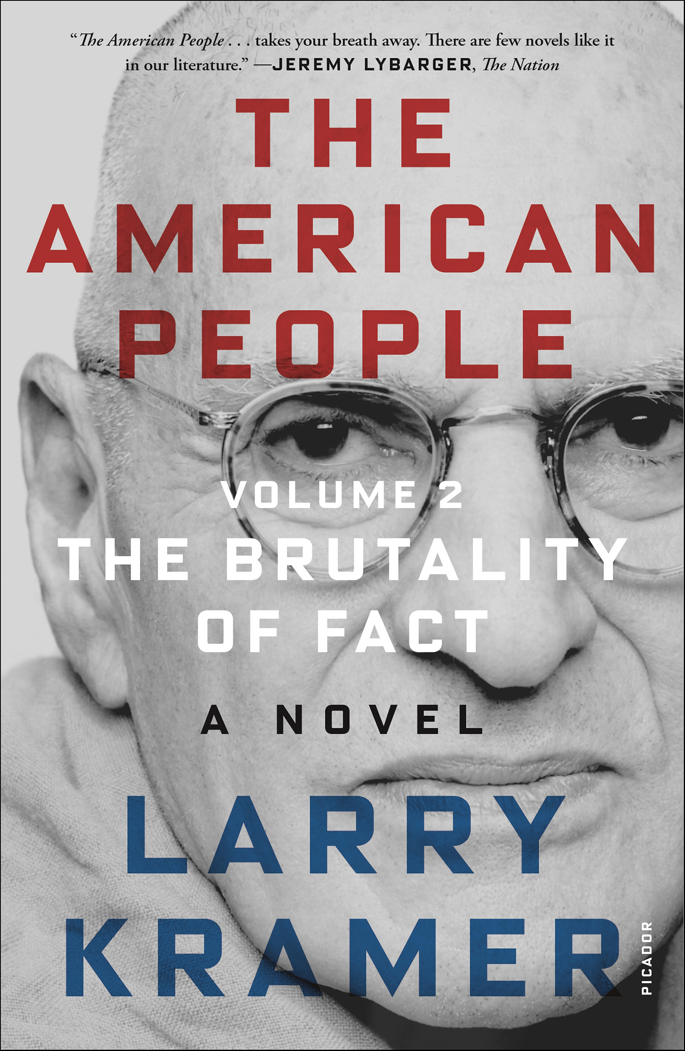 This image is the cover for the book The American People, Volume 2, The American People Series
