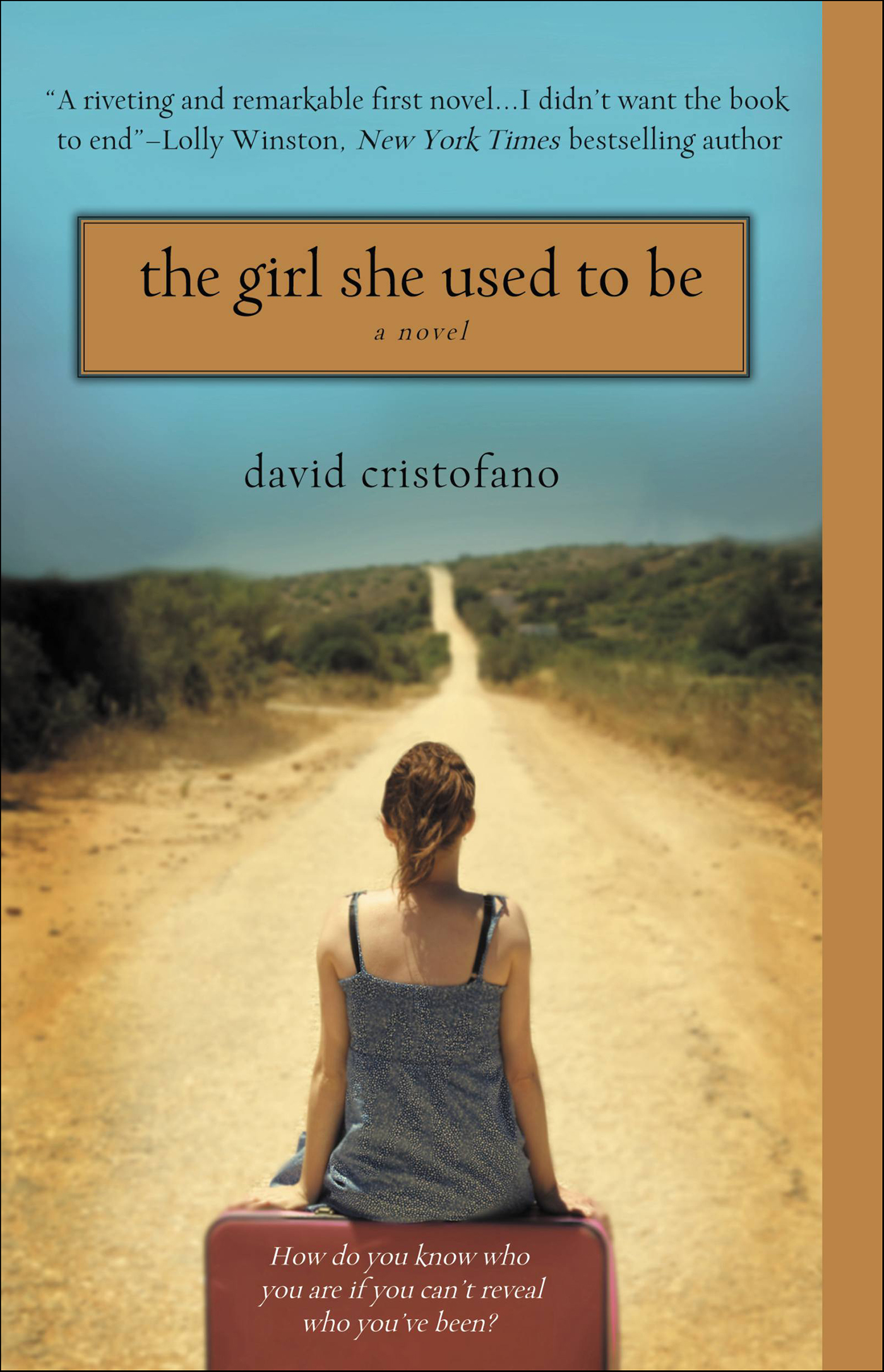 This image is the cover for the book Girl She Used to Be