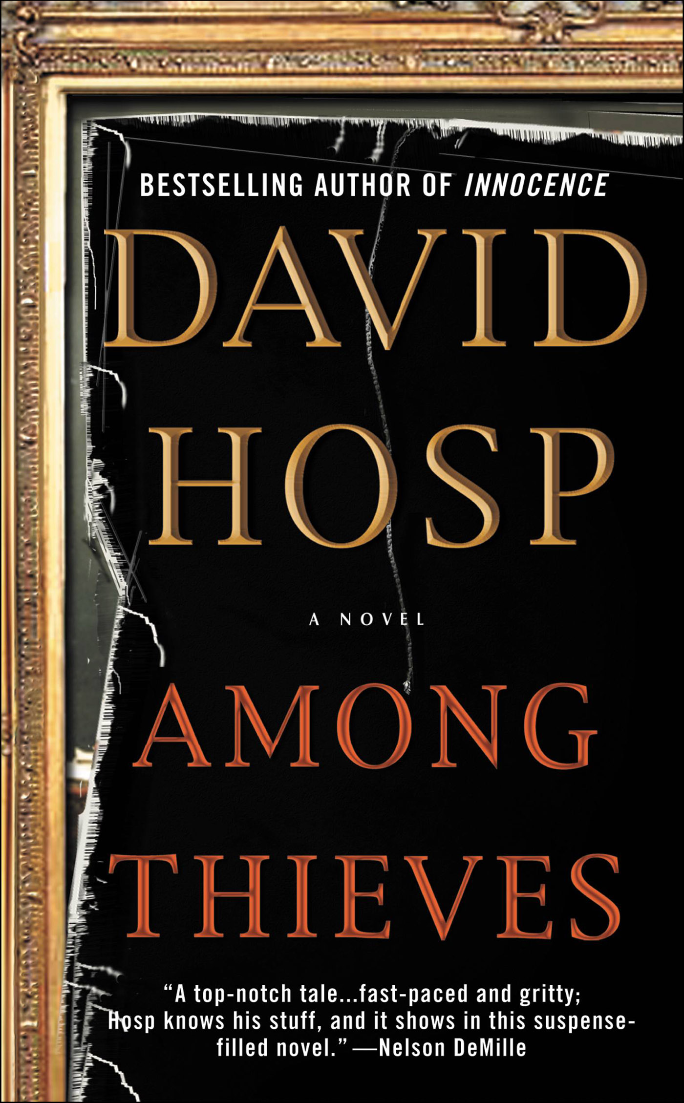 This image is the cover for the book Among Thieves