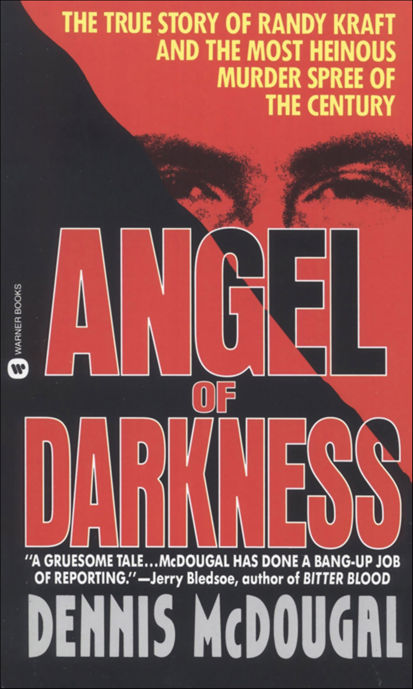 This image is the cover for the book Angel of Darkness