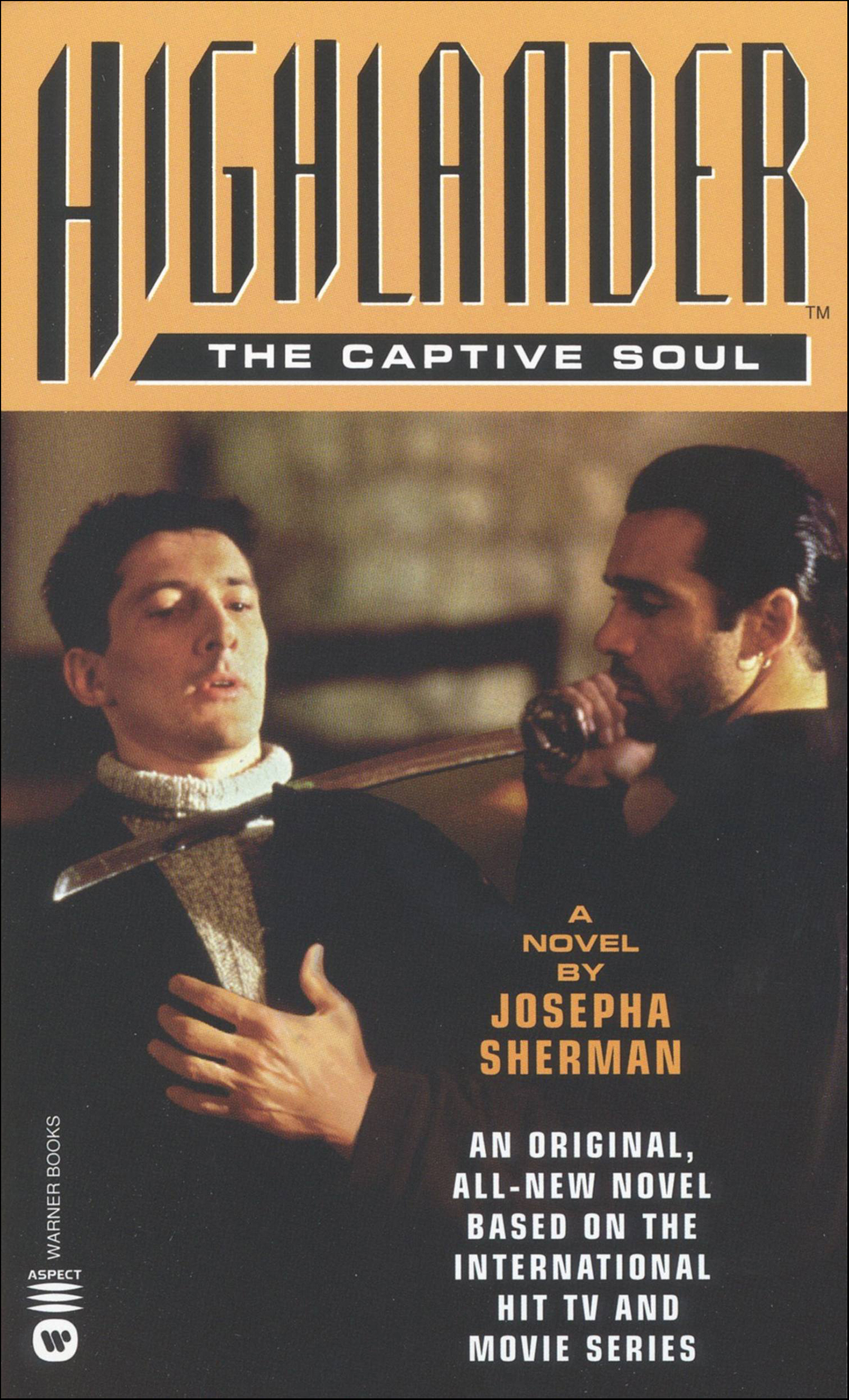 This image is the cover for the book Highlander: The Captive Soul, Highlander Novels