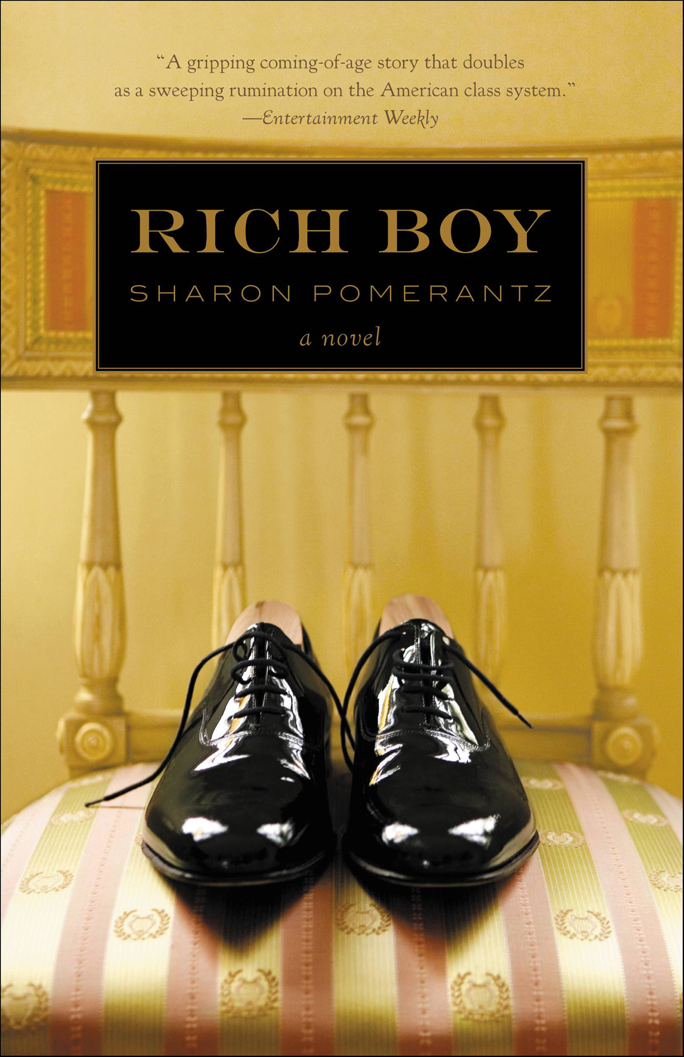 This image is the cover for the book Rich Boy