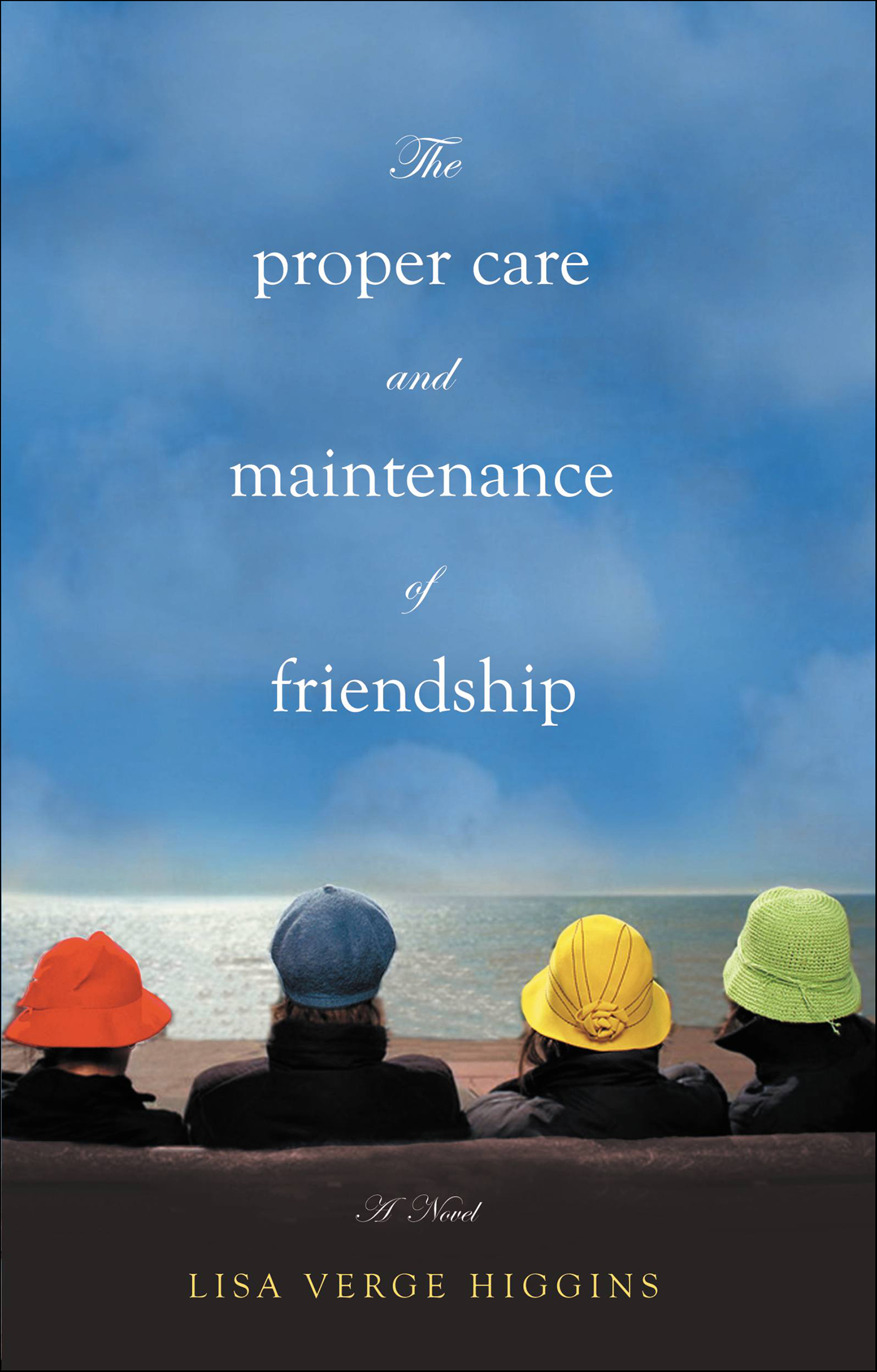 This image is the cover for the book Proper Care and Maintenance of Friendship