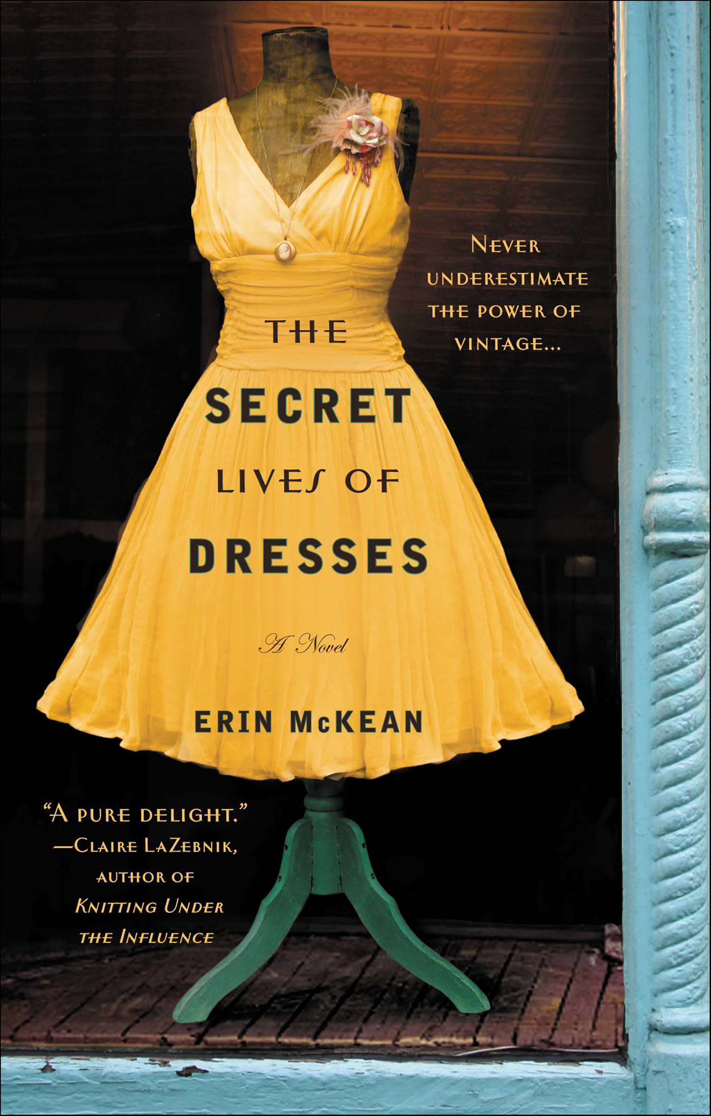 This image is the cover for the book Secret Lives of Dresses
