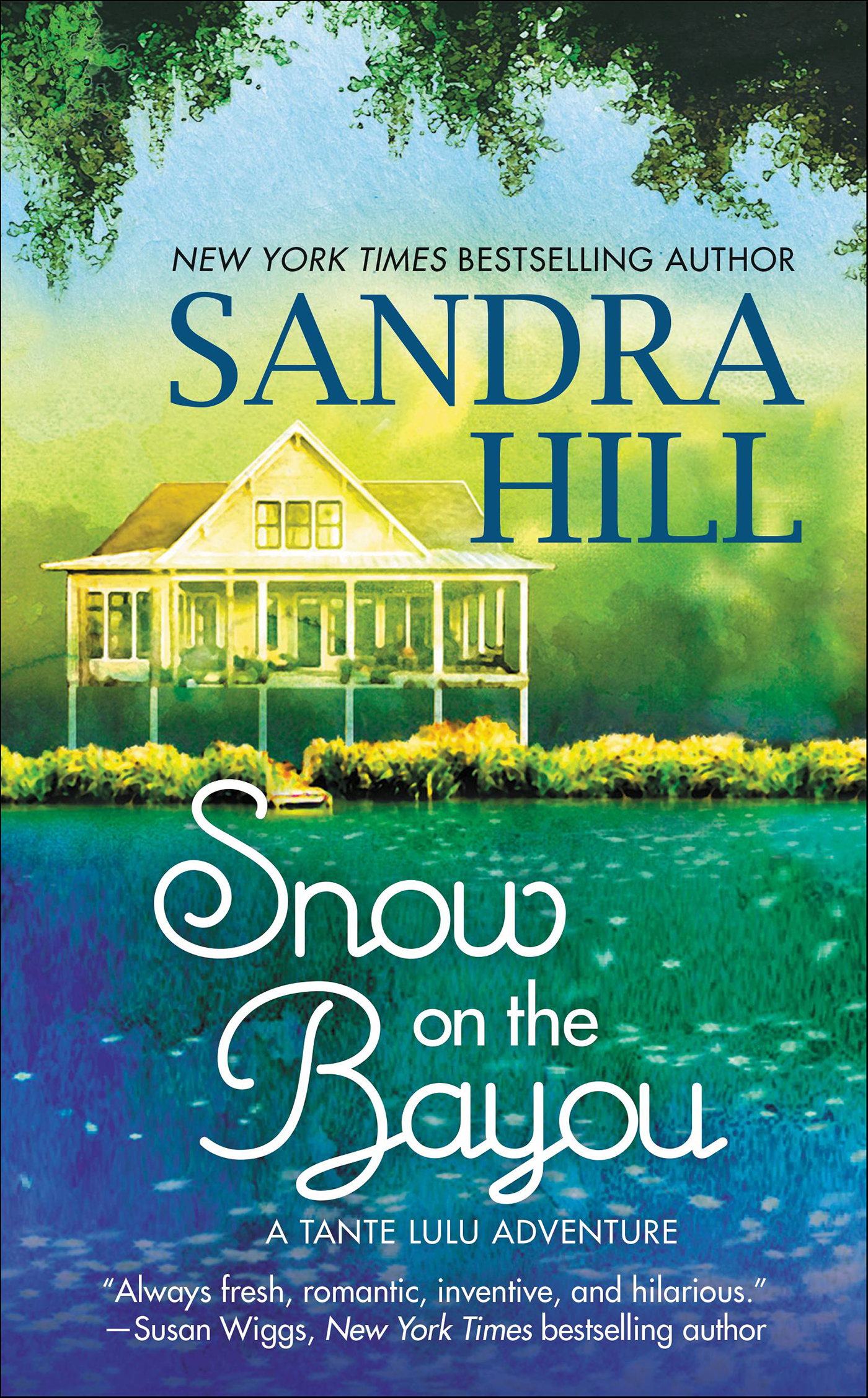This image is the cover for the book Snow on the Bayou, Cajun