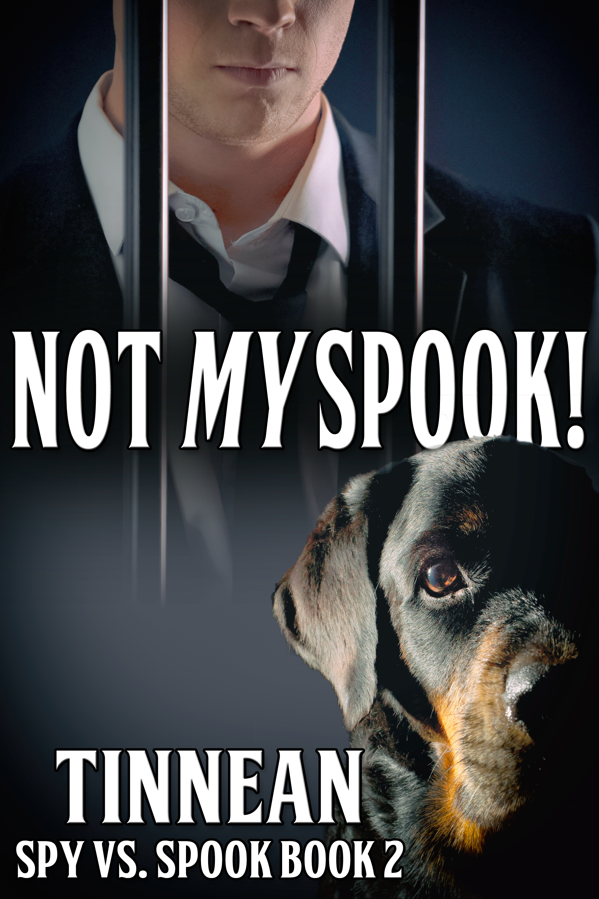 This image is the cover for the book Not My Spook, Spy vs. Spook