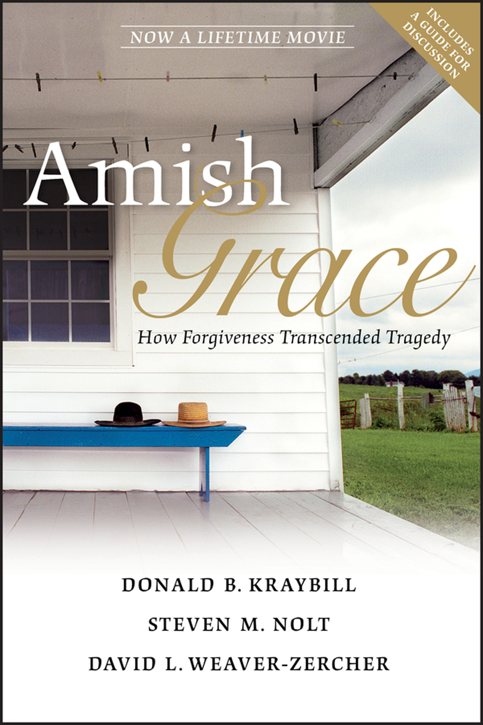 This image is the cover for the book Amish Grace
