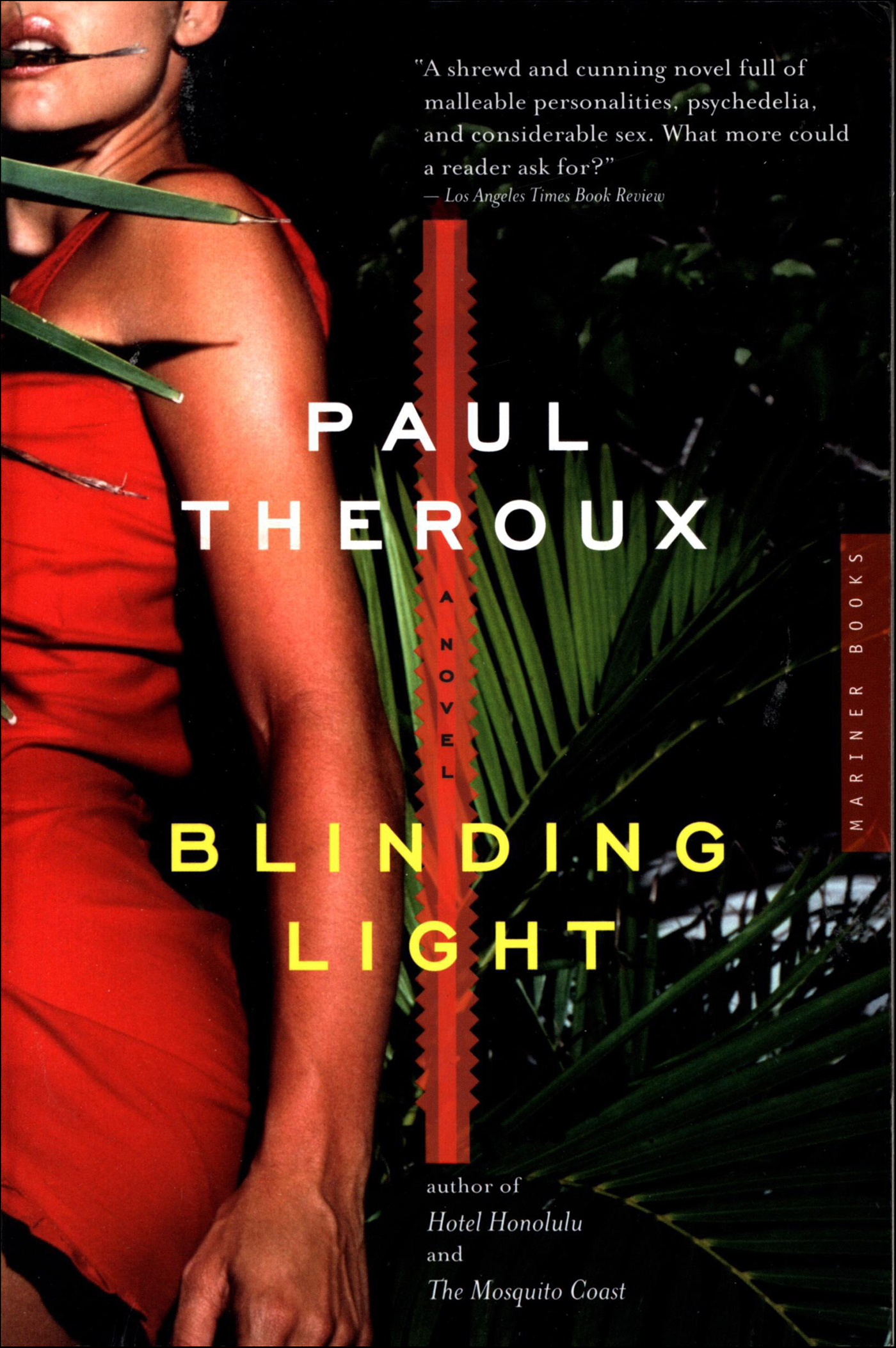 This image is the cover for the book Blinding Light