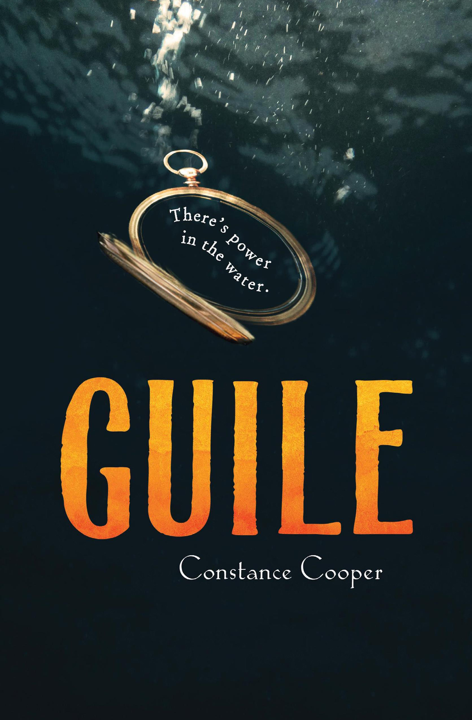 This image is the cover for the book Guile