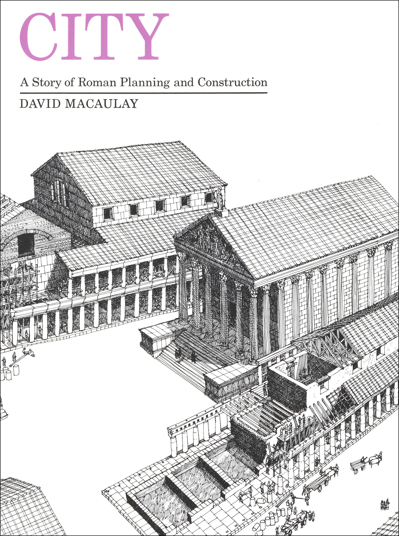 This image is the cover for the book City