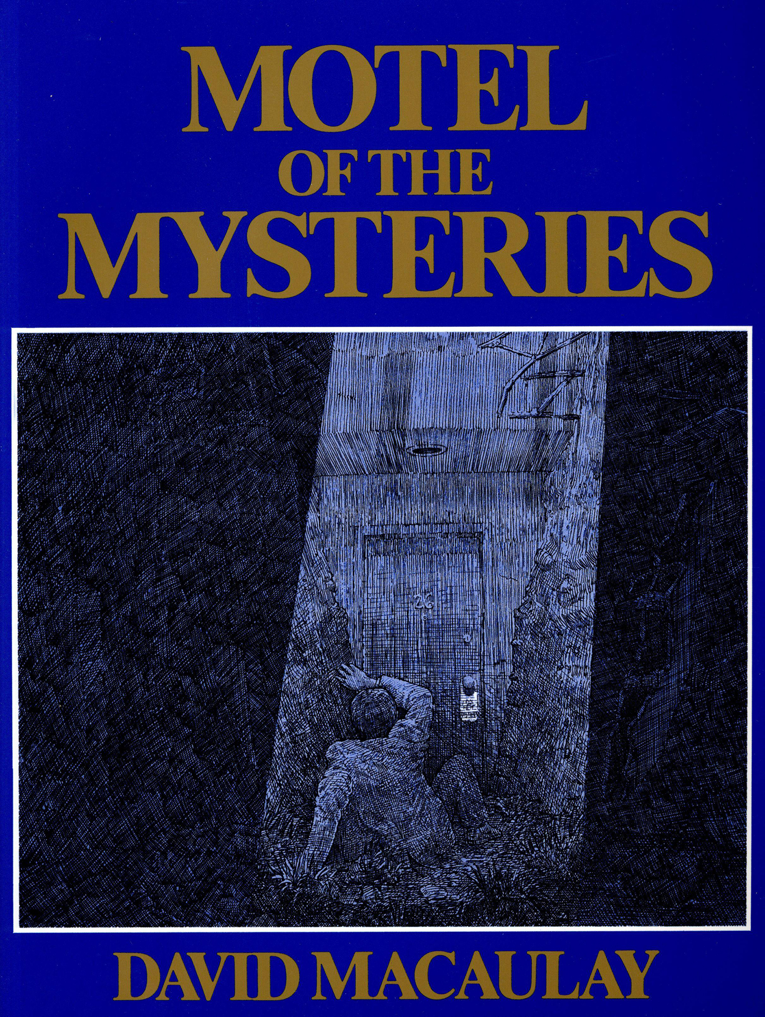 This image is the cover for the book Motel of the Mysteries