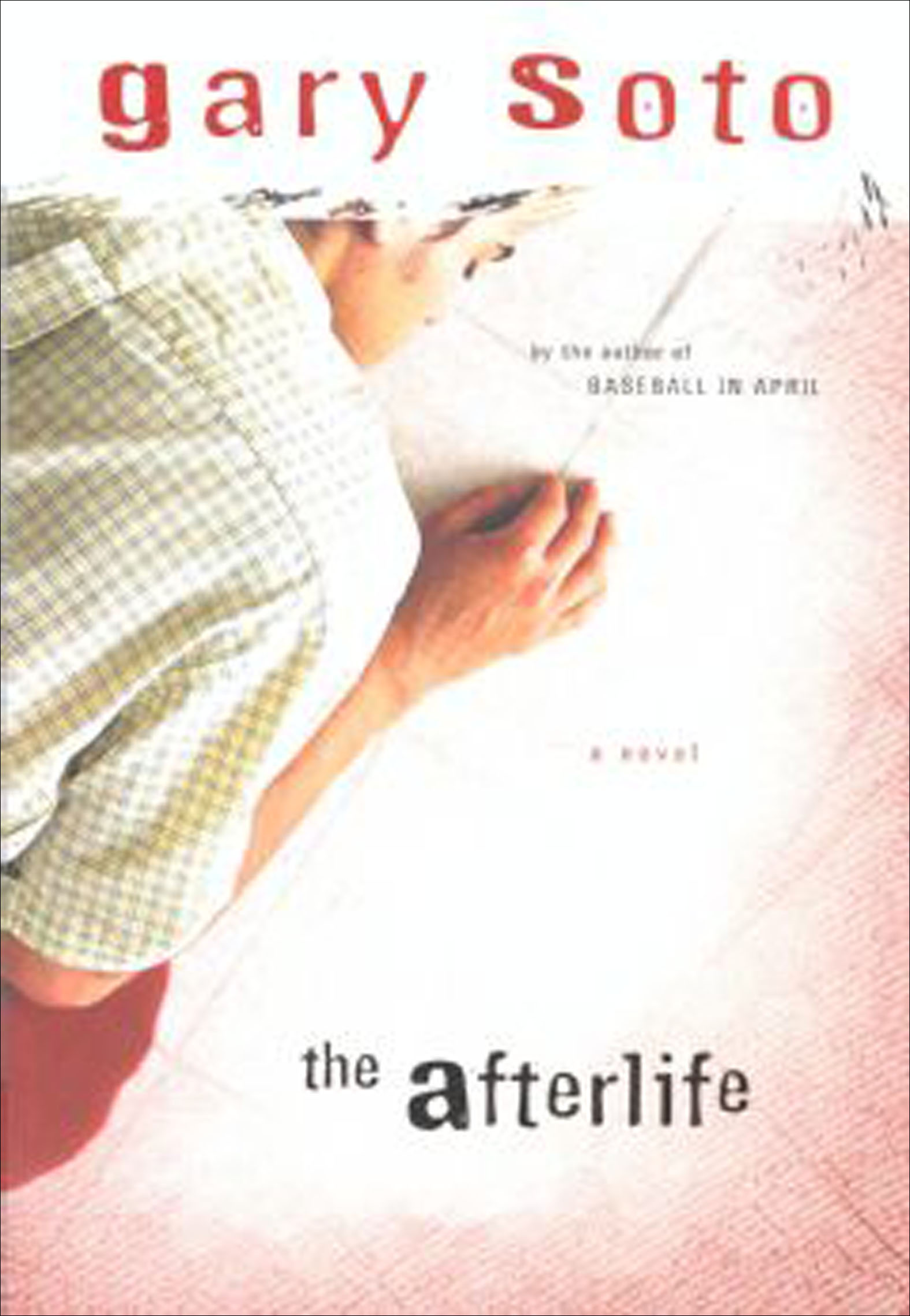 This image is the cover for the book Afterlife