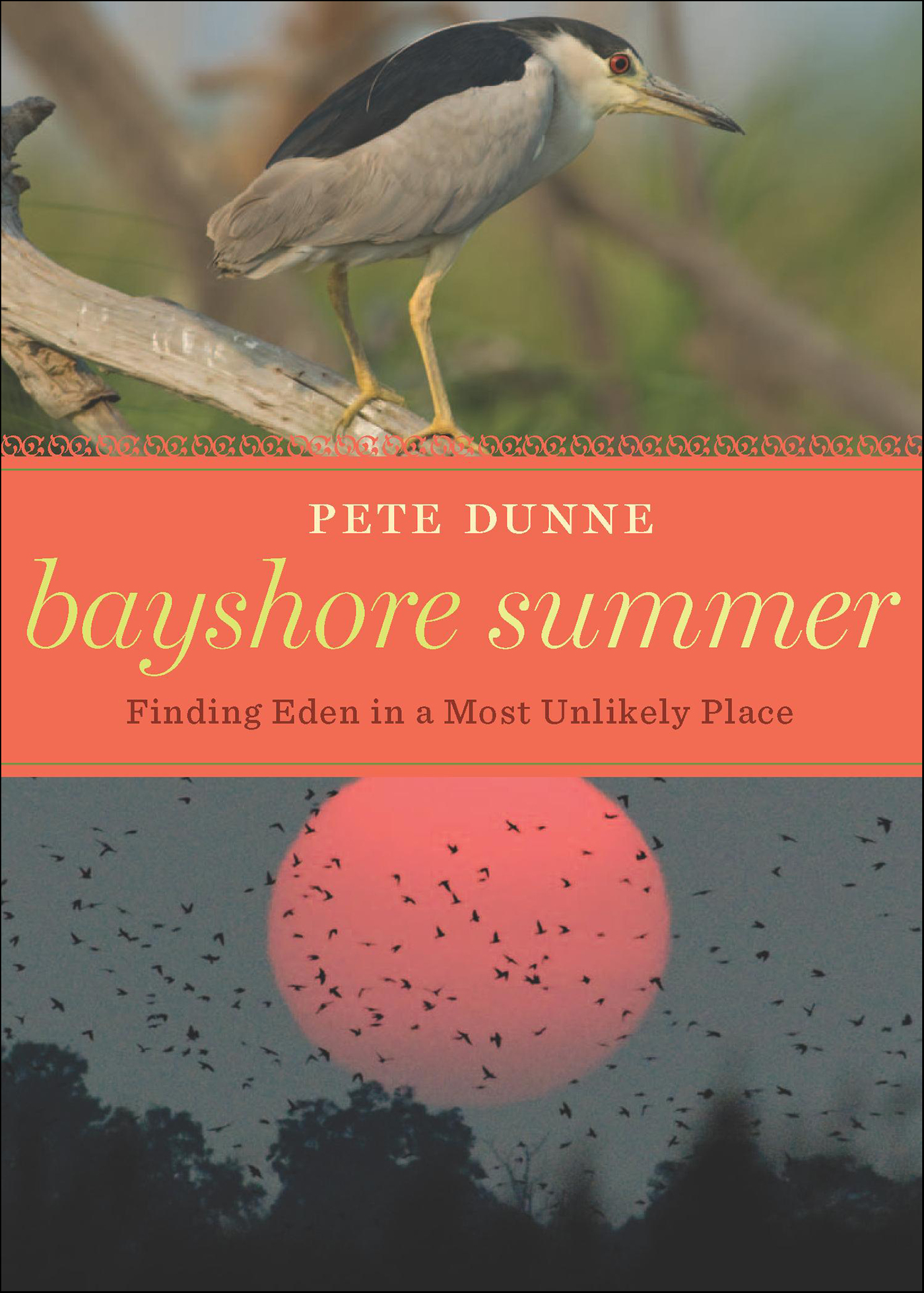 This image is the cover for the book Bayshore Summer