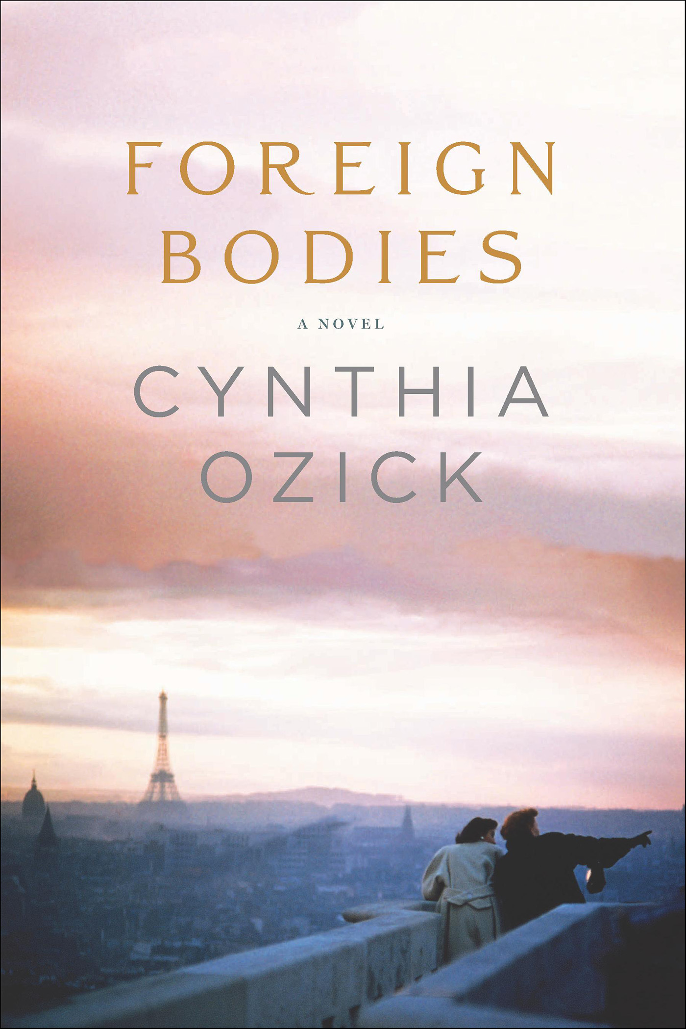 This image is the cover for the book Foreign Bodies