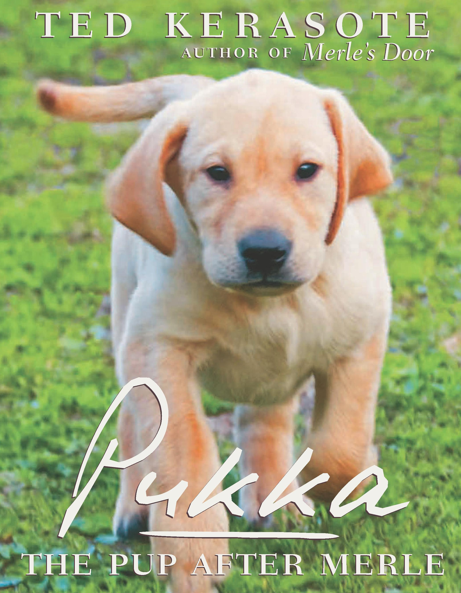 This image is the cover for the book Pukka