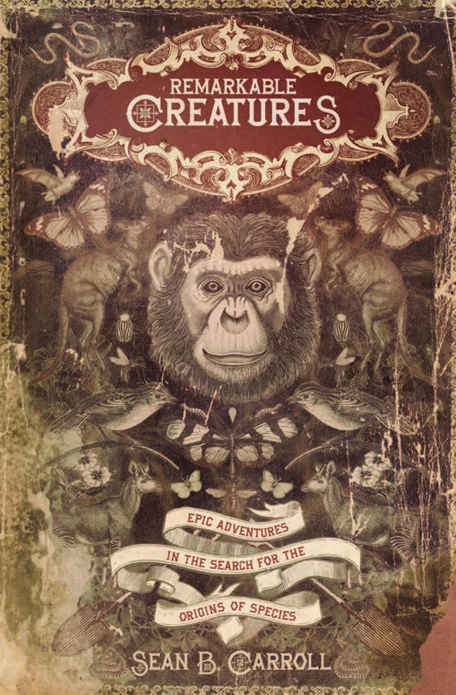 This image is the cover for the book Remarkable Creatures