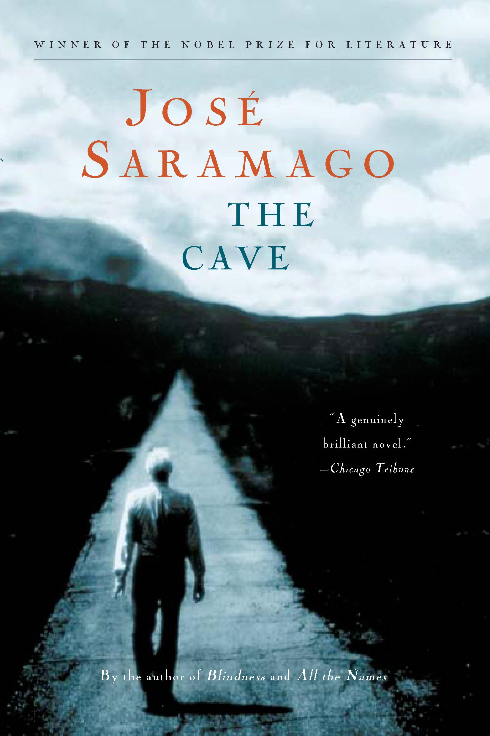 This image is the cover for the book Cave