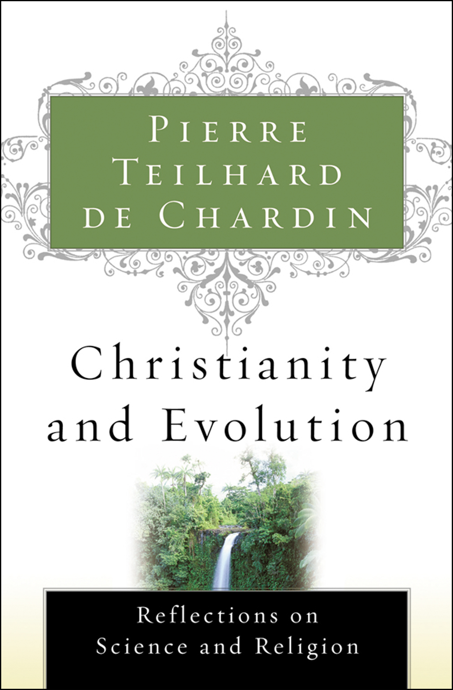 This image is the cover for the book Christianity and Evolution