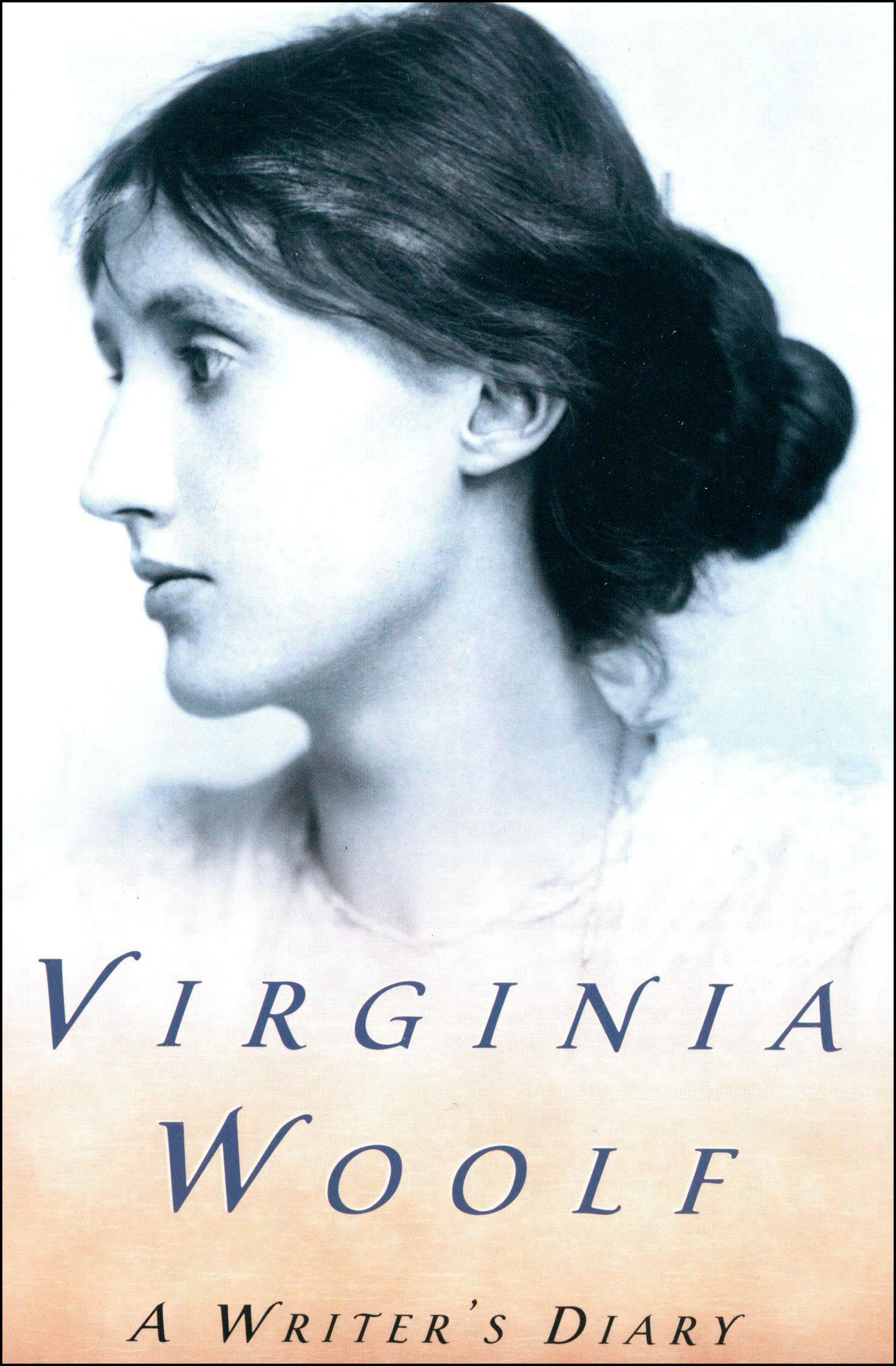 This image is the cover for the book Writer's Diary