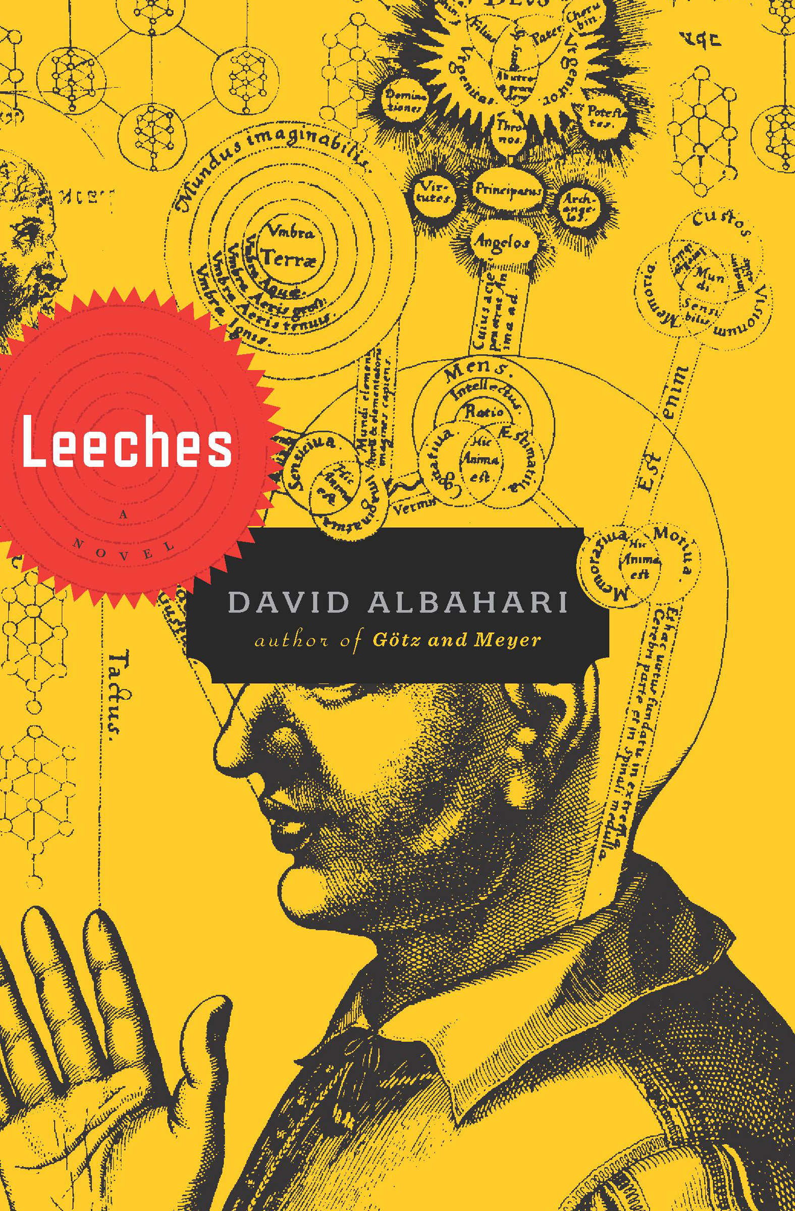 This image is the cover for the book Leeches