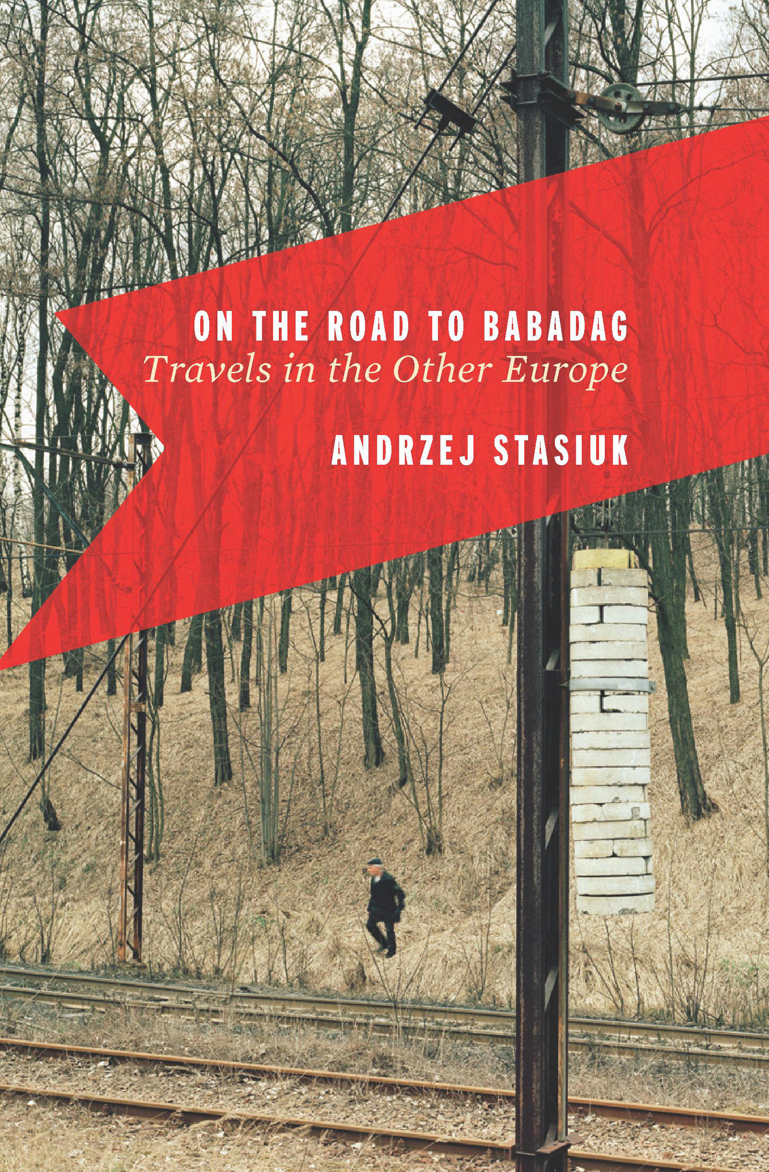 This image is the cover for the book On the Road to Babadag