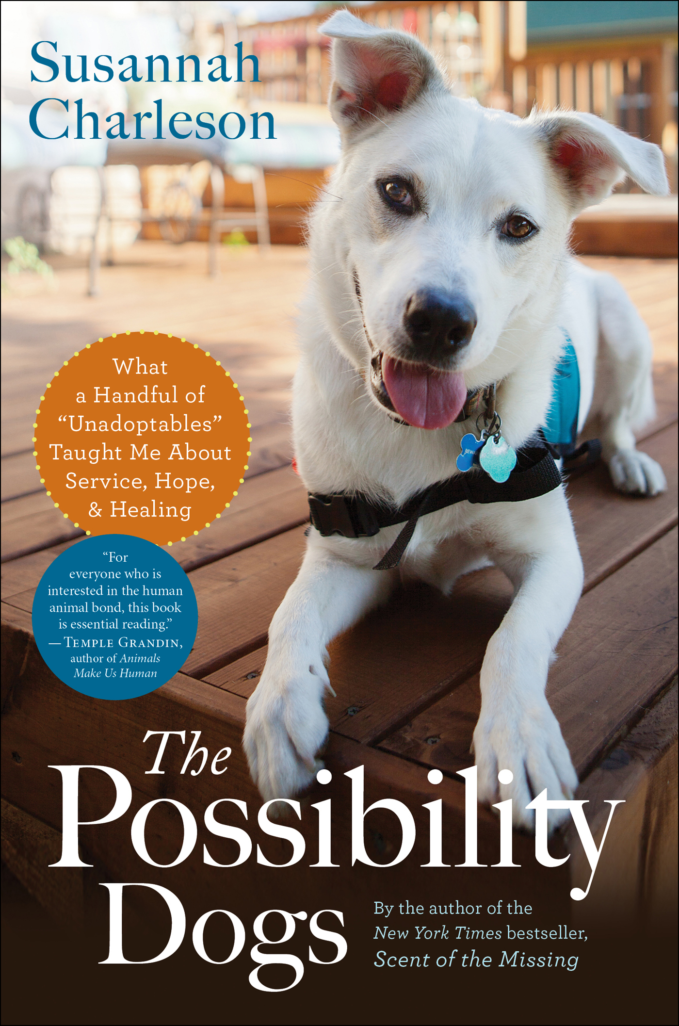 This image is the cover for the book Possibility Dogs
