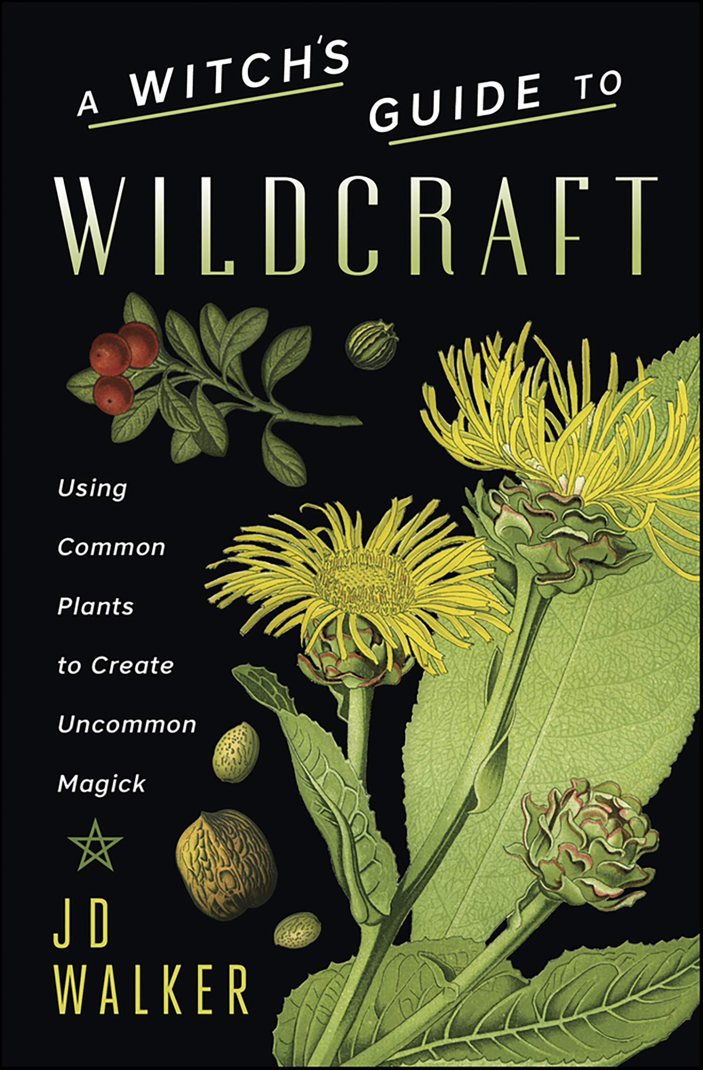 This image is the cover for the book Witch's Guide to Wildcraft