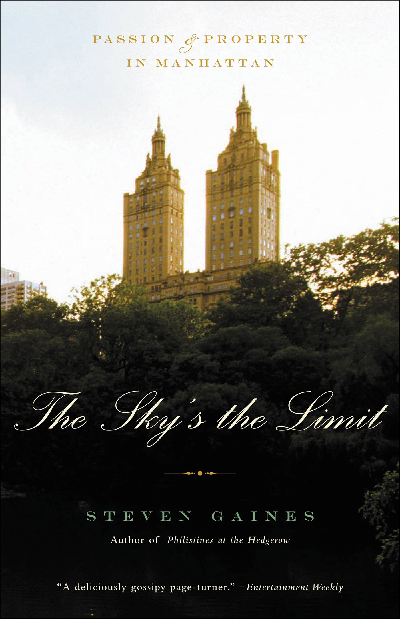 This image is the cover for the book Sky's the Limit
