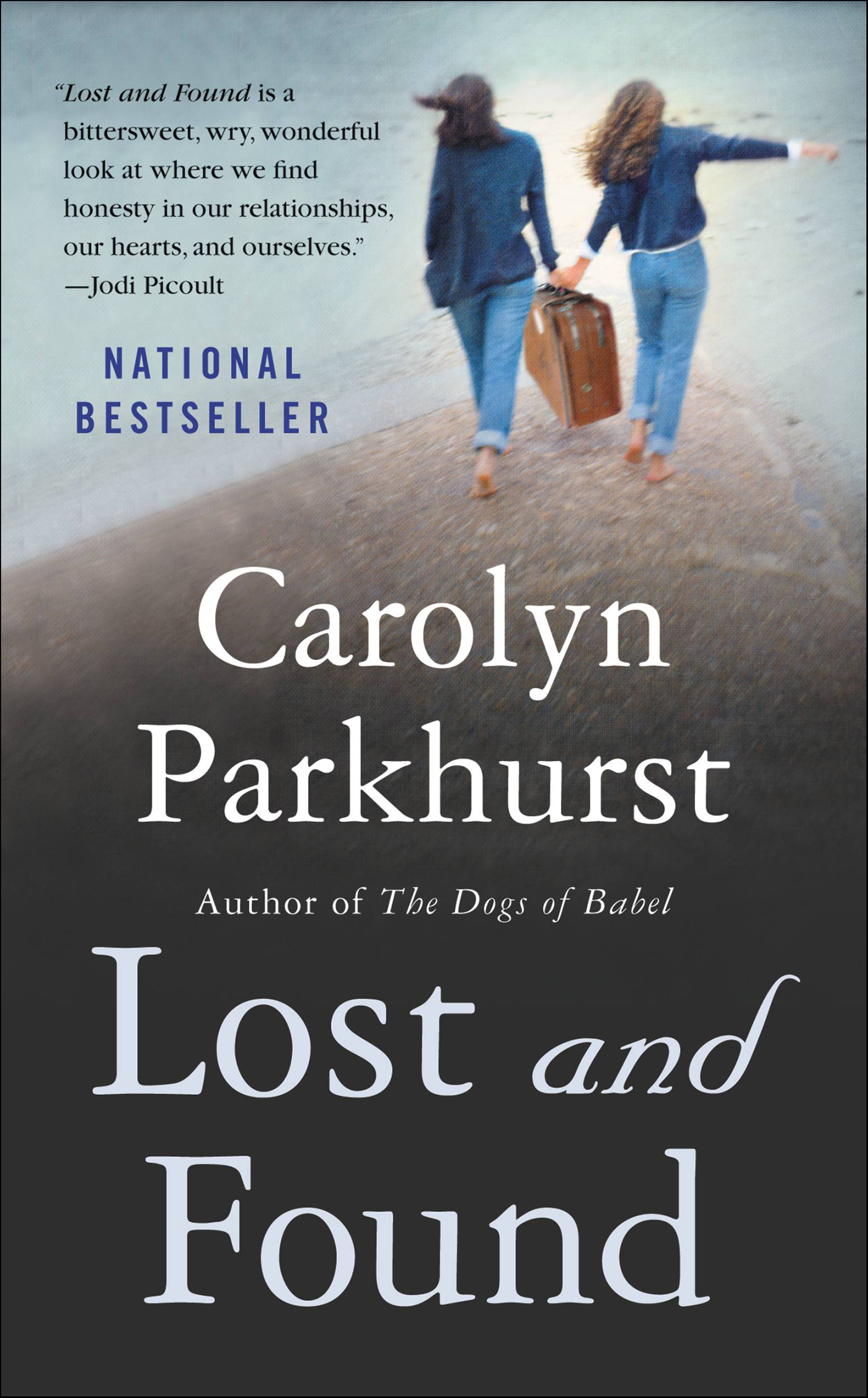 This image is the cover for the book Lost and Found