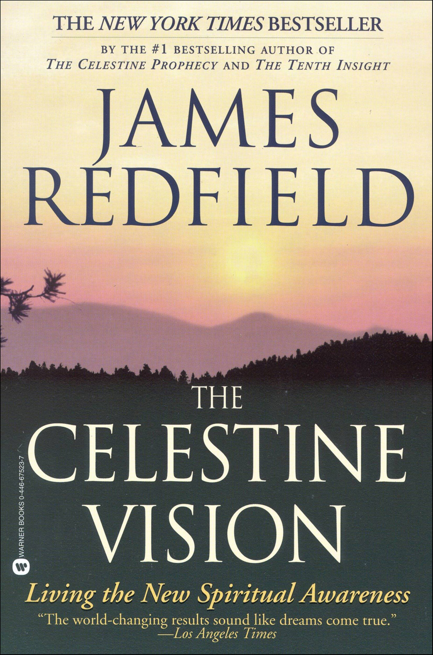 This image is the cover for the book Celestine Vision