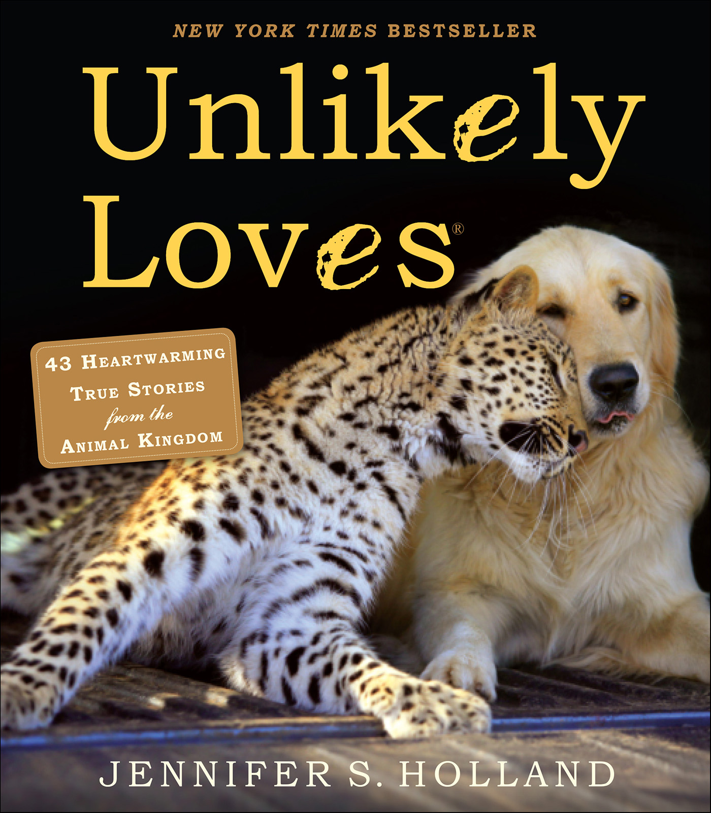 This image is the cover for the book Unlikely Loves