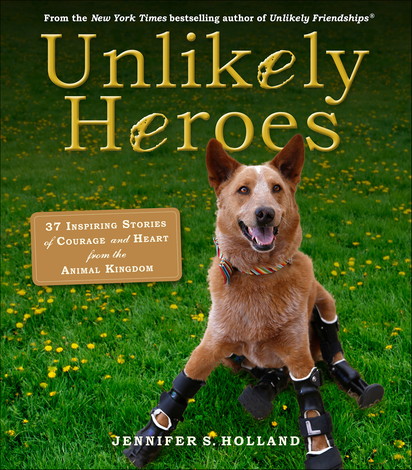 This image is the cover for the book Unlikely Heroes