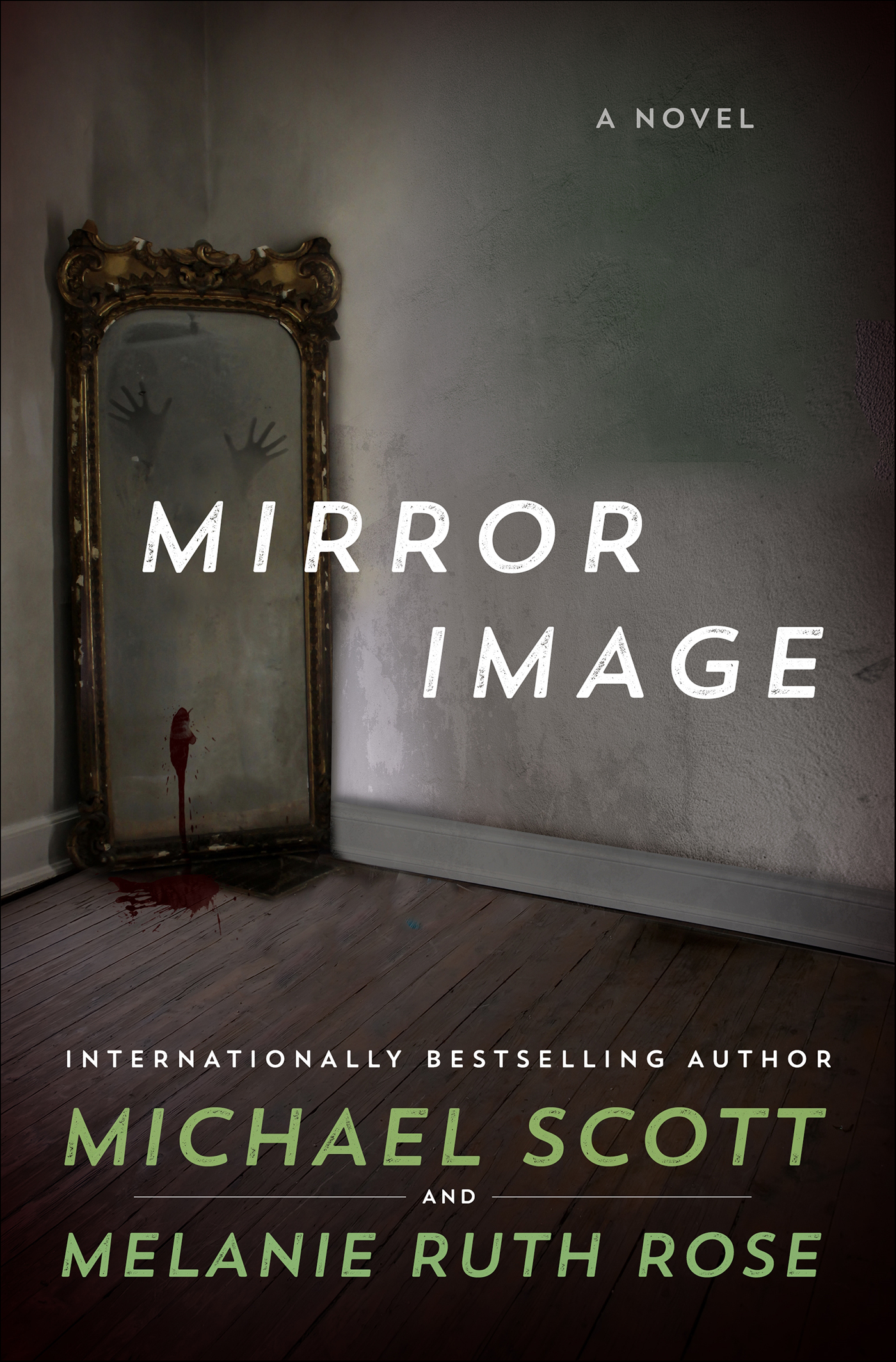 This image is the cover for the book Mirror Image