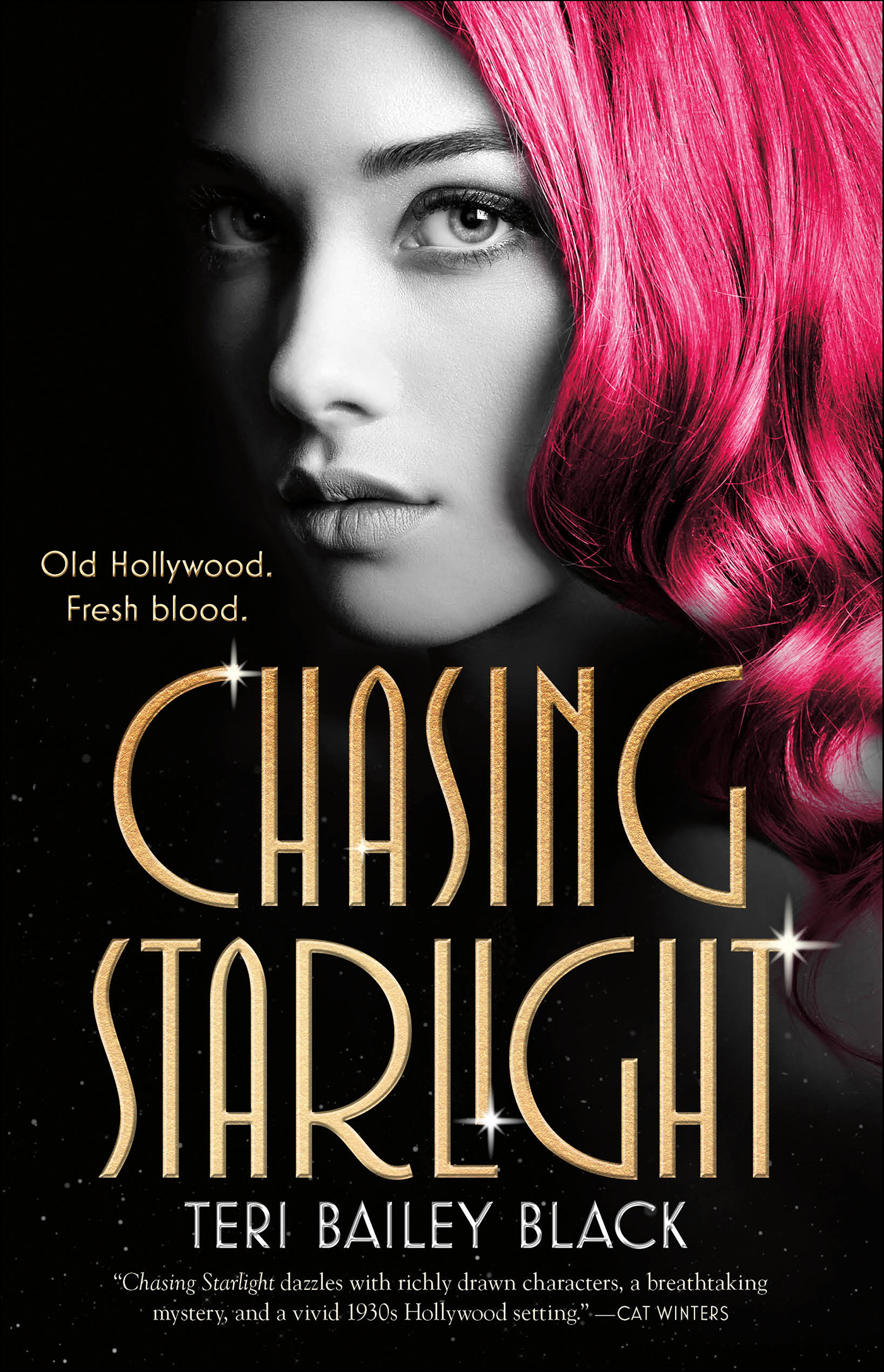This image is the cover for the book Chasing Starlight