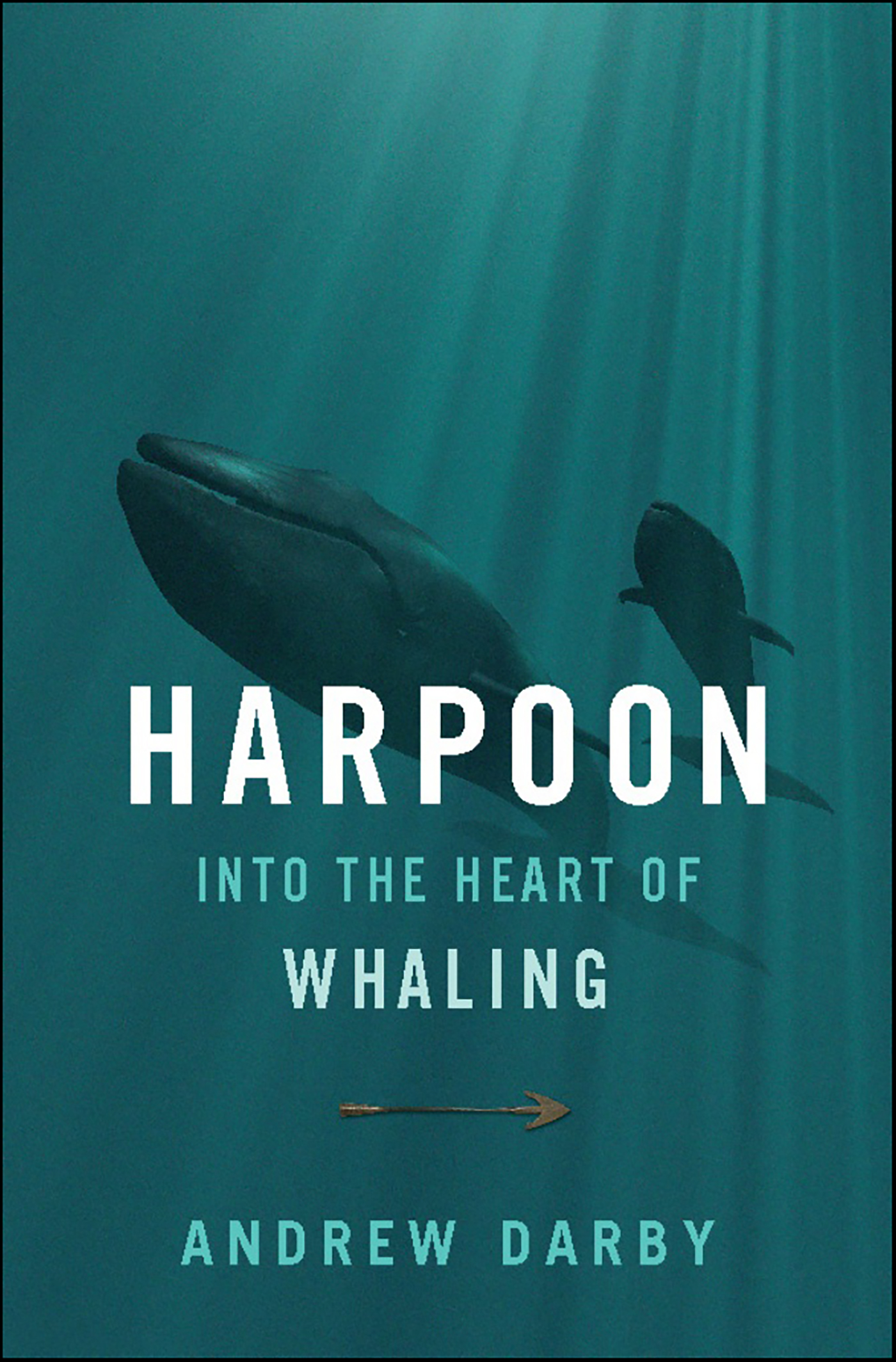 This image is the cover for the book Harpoon, Merloyd Lawrence Novels