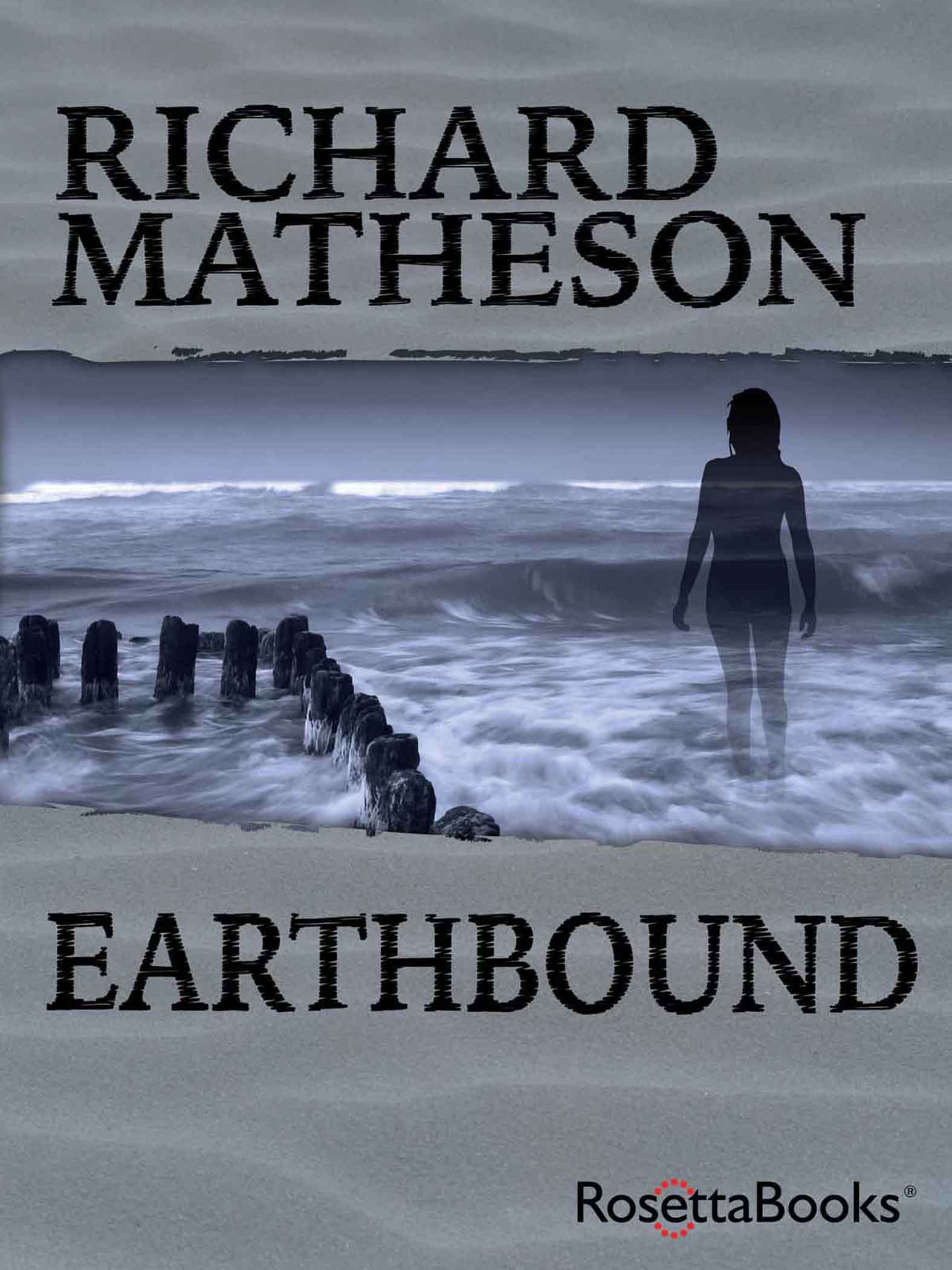 This image is the cover for the book Earthbound