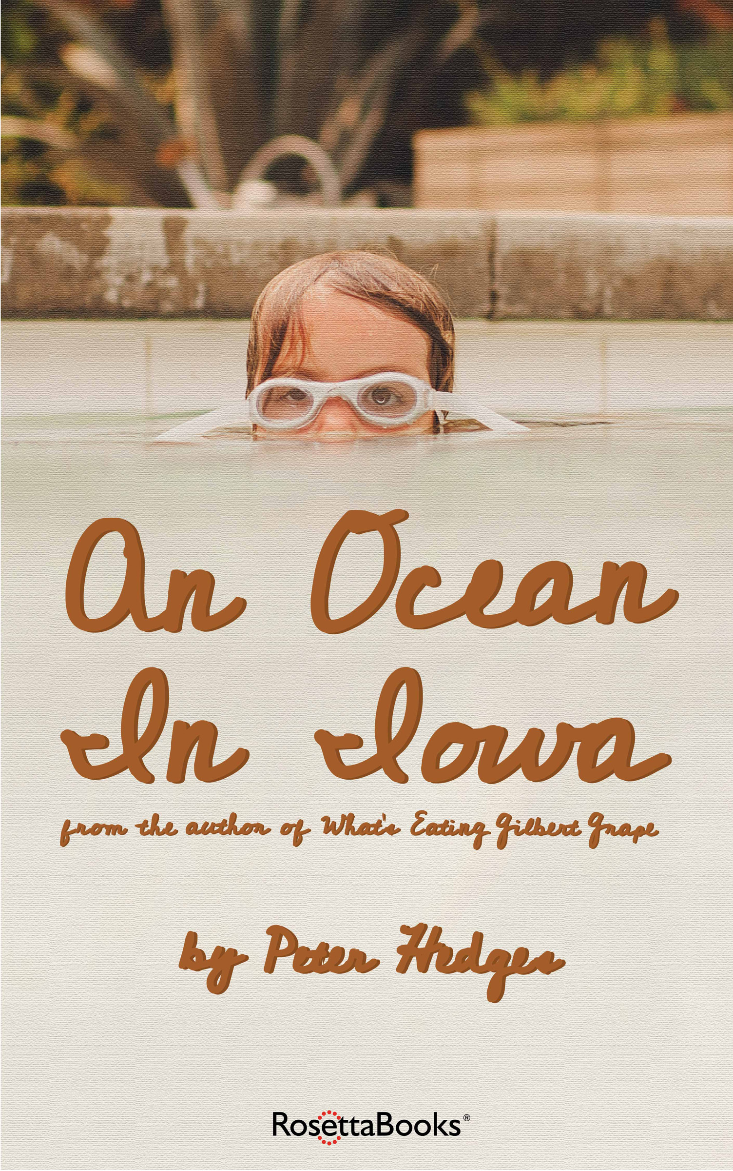 This image is the cover for the book Ocean in Iowa