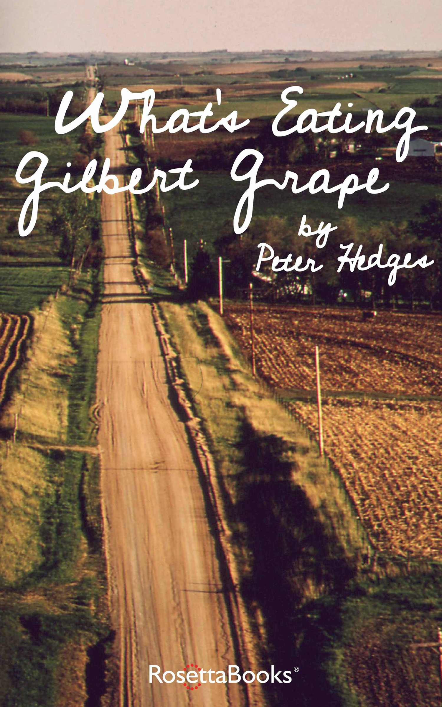 This image is the cover for the book What's Eating Gilbert Grape